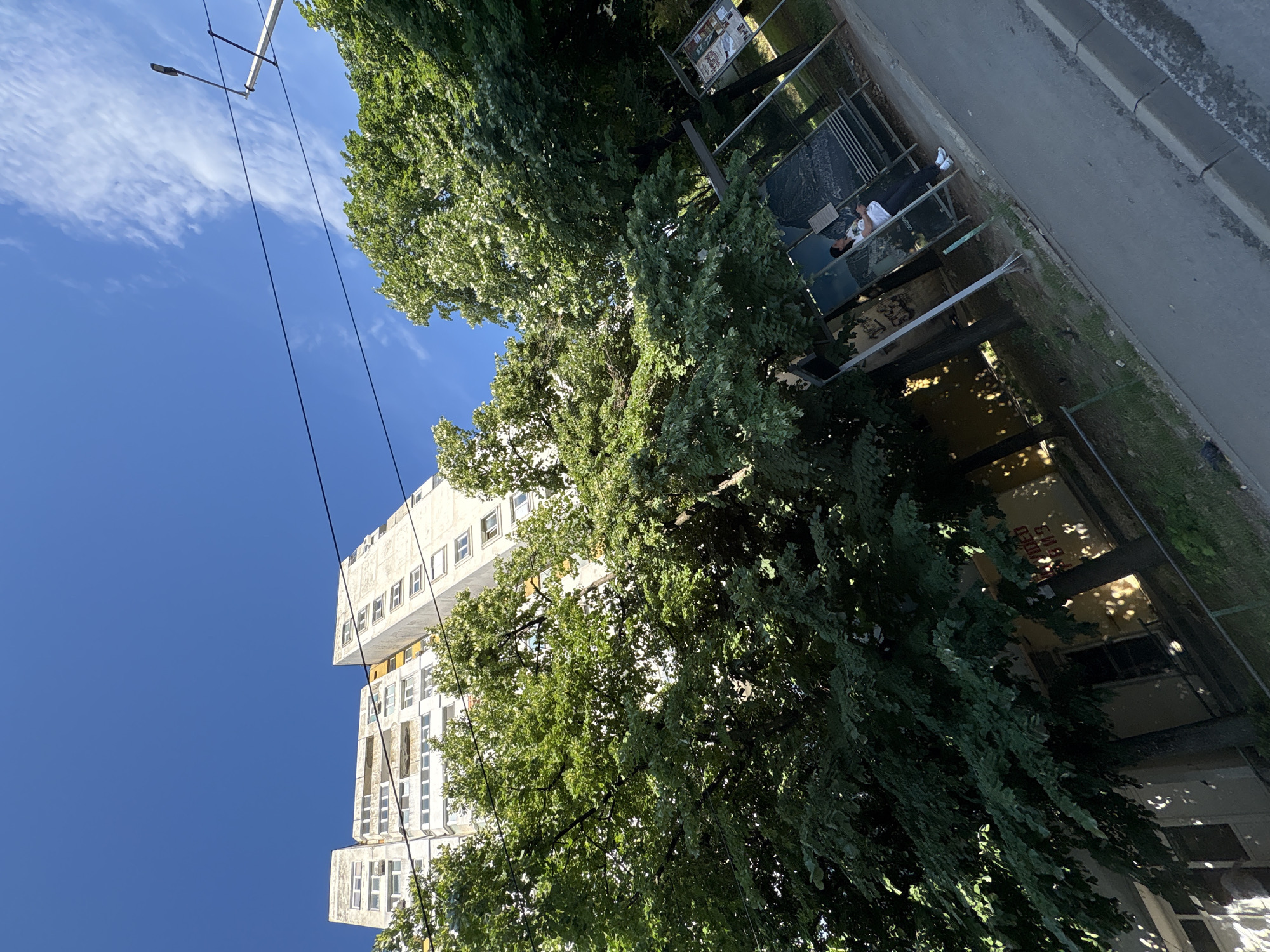 The image shows a view looking up at a tall, concrete apartment building, partially obscured by dense green trees. The sky is a clear, bright blue with some wispy white clouds. Power lines stretch across the frame, and a modern street lamp is visible in the upper right corner. In the foreground, a bus stop shelter with a bench is visible. A woman in a white t-shirt and dark pants is sitting on the bench, looking down at her phone. The bus stop has advertising posters displayed. To the left of the bus stop, there is a building with yellow signage that appears to have Cyrillic text. The scene is likely a residential area in the city of Vratsa, Bulgaria, possibly near a street or park. The overall impression is an urban environment during a sunny day.