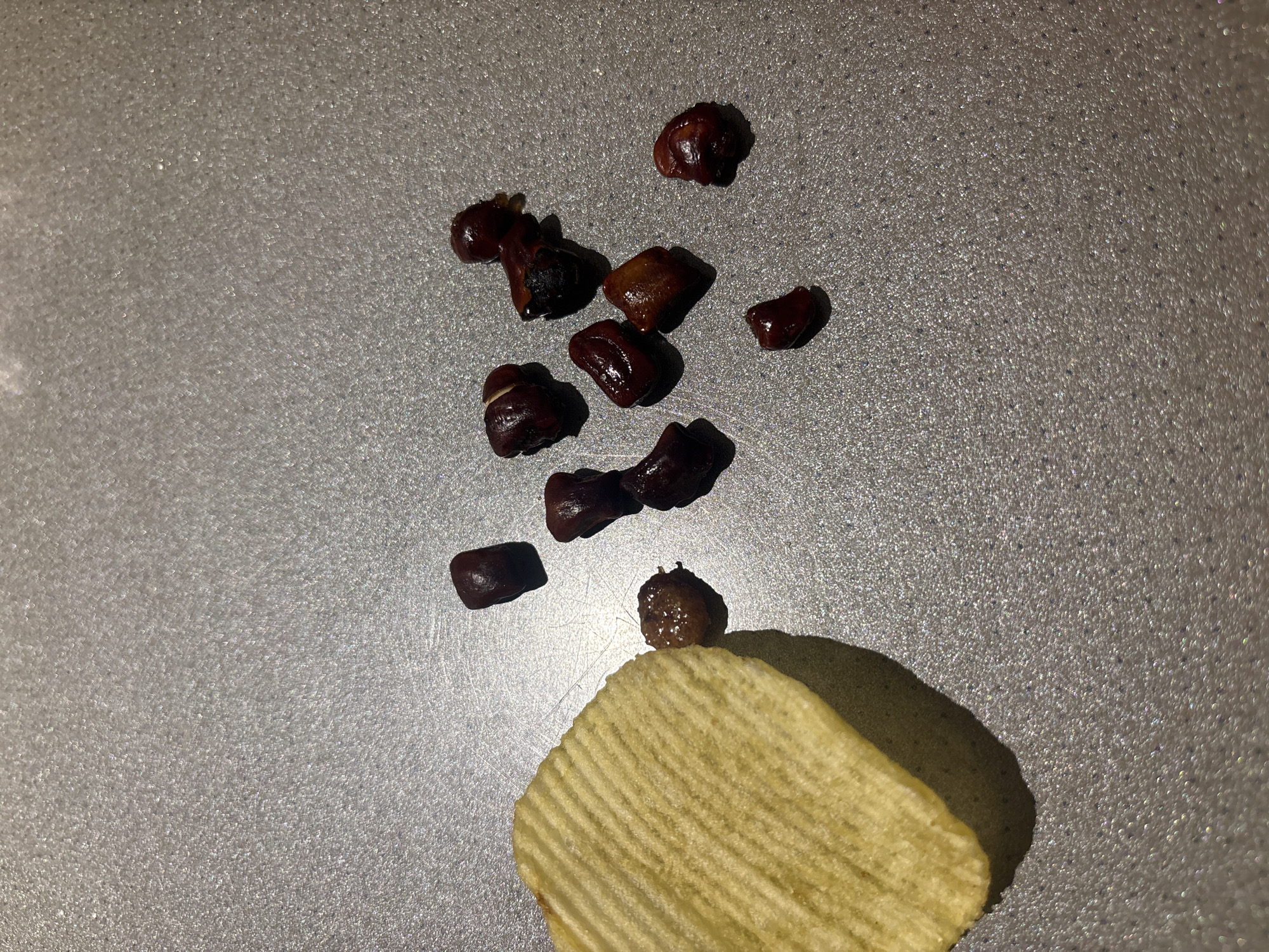 A close-up, overhead shot shows a single ridged potato chip and several small, dark, shiny objects scattered on a textured, metallic grey surface. The chip is light yellow with distinct ridges running vertically on its visible surface. To the right of the chip, approximately ten small, irregularly shaped objects are visible. These objects appear to be dark red to brown in color and possess a glossy sheen, suggesting they might be seeds or small pieces of dried fruit. The surface they rest on has a subtle reflective quality and appears to be speckled with small particles. The lighting casts soft shadows, particularly from the potato chip. There is no indication of location in Dubai or the United Arab Emirates.
