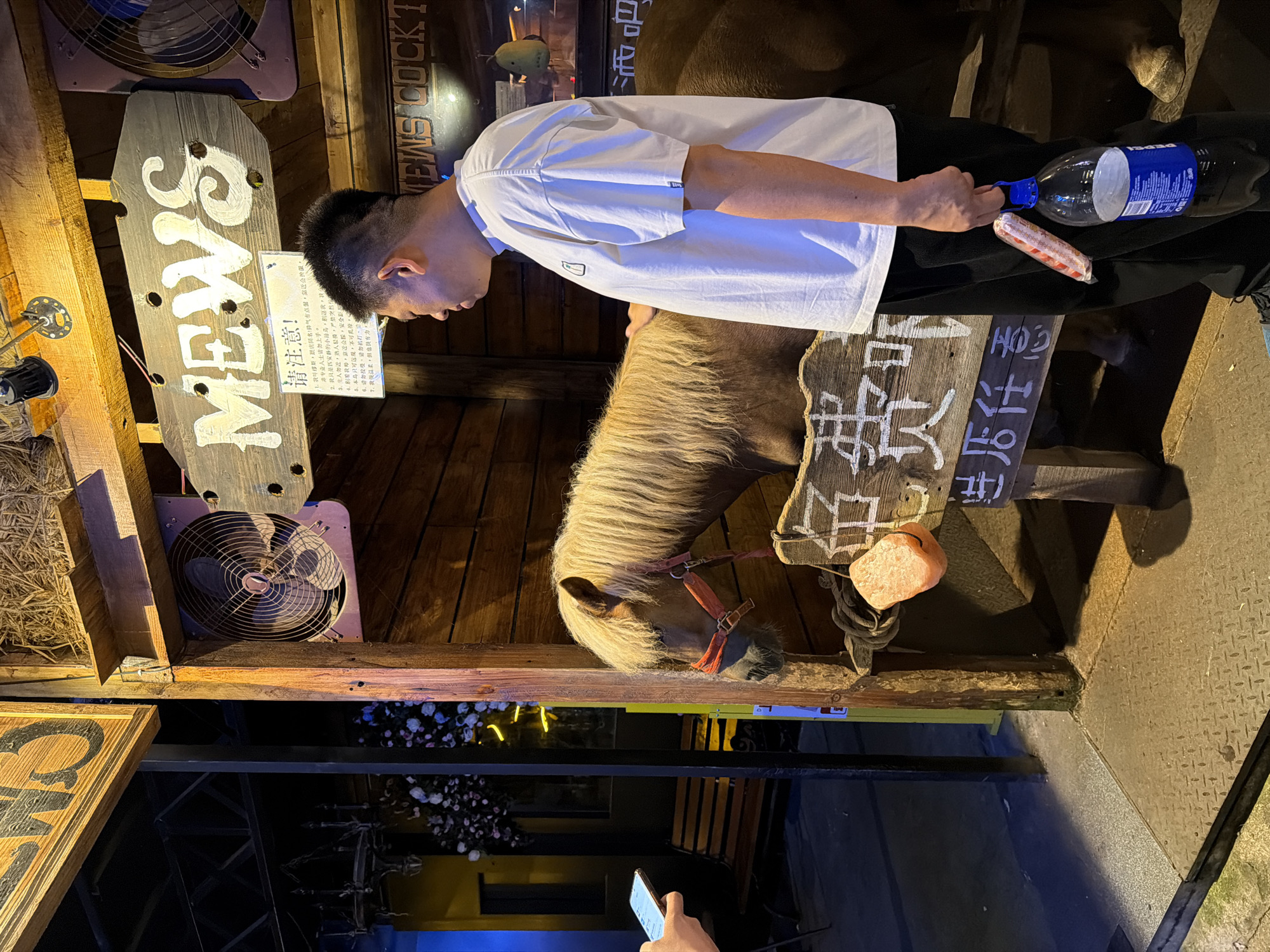 The image captures a scene at a bar in the Chongqing High-tech Zone, China. A young man in a white shirt and black pants is leaning towards a light-brown pony in a wooden enclosure. He holds a Pepsi bottle and a wrapped snack. The pony is near a wooden sign with Chinese characters. Other signs nearby read "MEWS" and "MEWS COCKT." The environment includes a fan and decorative elements. Someone is taking a photo of the scene with a phone from below. The location appears to be an outdoor area of the bar with wooden decor.