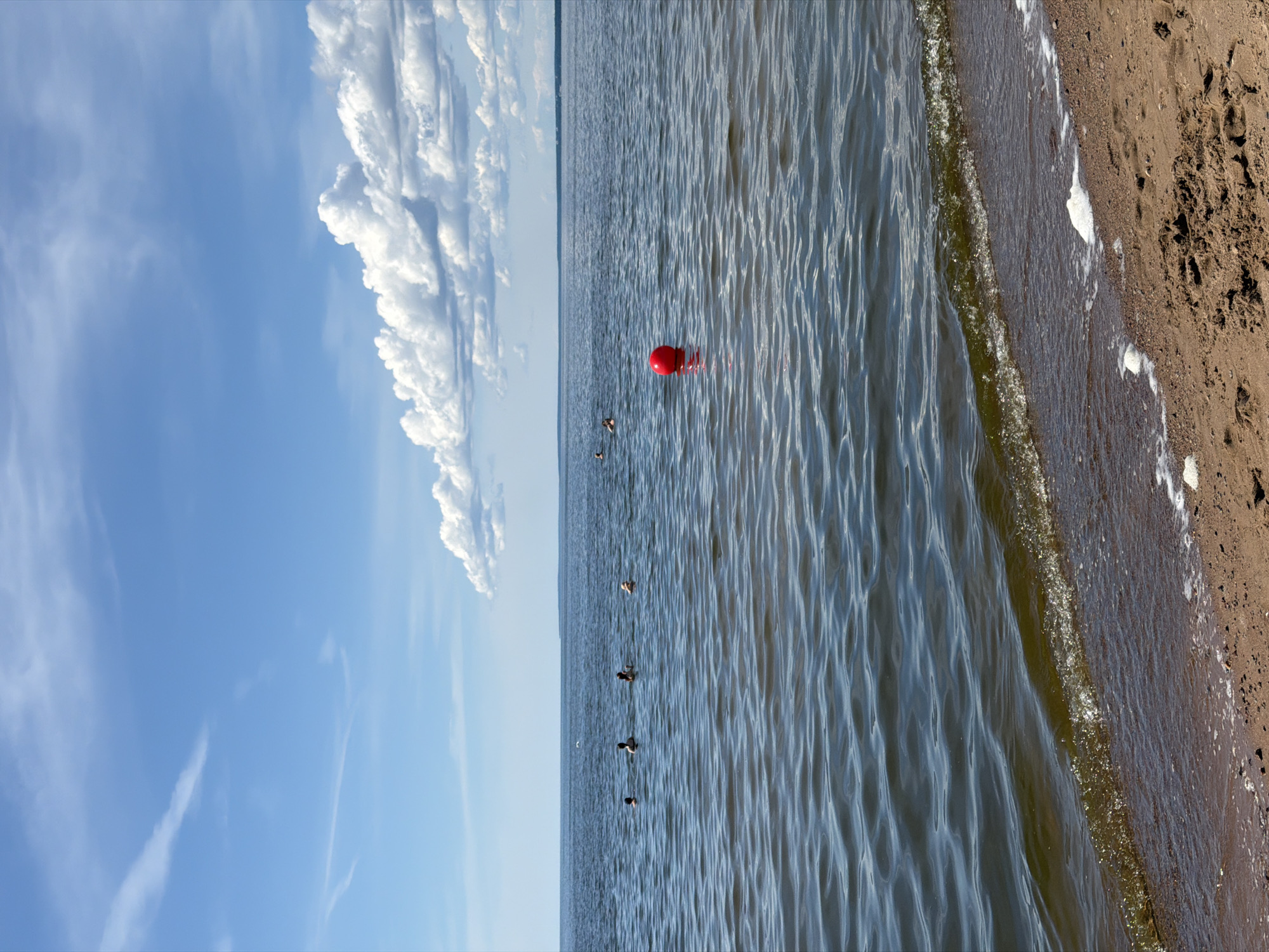 In Solnechnoye, Russia, on a summer day with a clear blue sky dotted with fluffy white clouds, a group of people are enjoying the water. The gentle waves of the Gulf of Finland lap against a sandy beach in the foreground, where a few small pieces of white foam are visible. Several individuals are swimming in the water, appearing as small figures from this vantage point. Further out in the water, a bright red buoy floats serenely, adding a splash of color to the scene. The horizon is marked by a faint landmass in the distance.