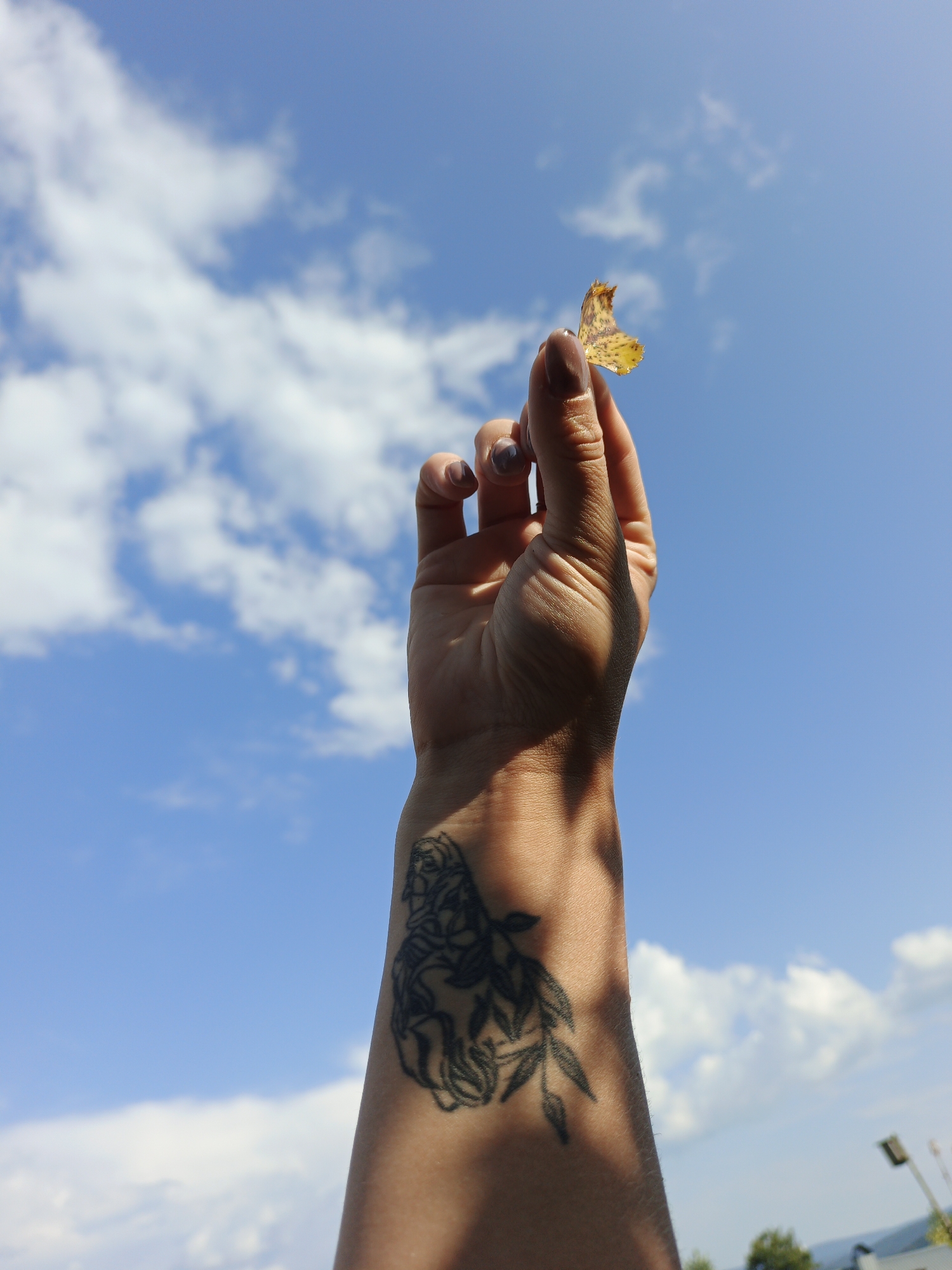 An arm with a tattoo of roses and leaves is held up against a bright blue sky with scattered white clouds. The arm is illuminated by sunlight, casting shadows. The fingertips of the hand are holding a small, dry, yellow leaf. The background shows a hint of greenery and a distant pole. The image appears to be taken outdoors in an open area, possibly in the city of Medvedyovka, Russia.