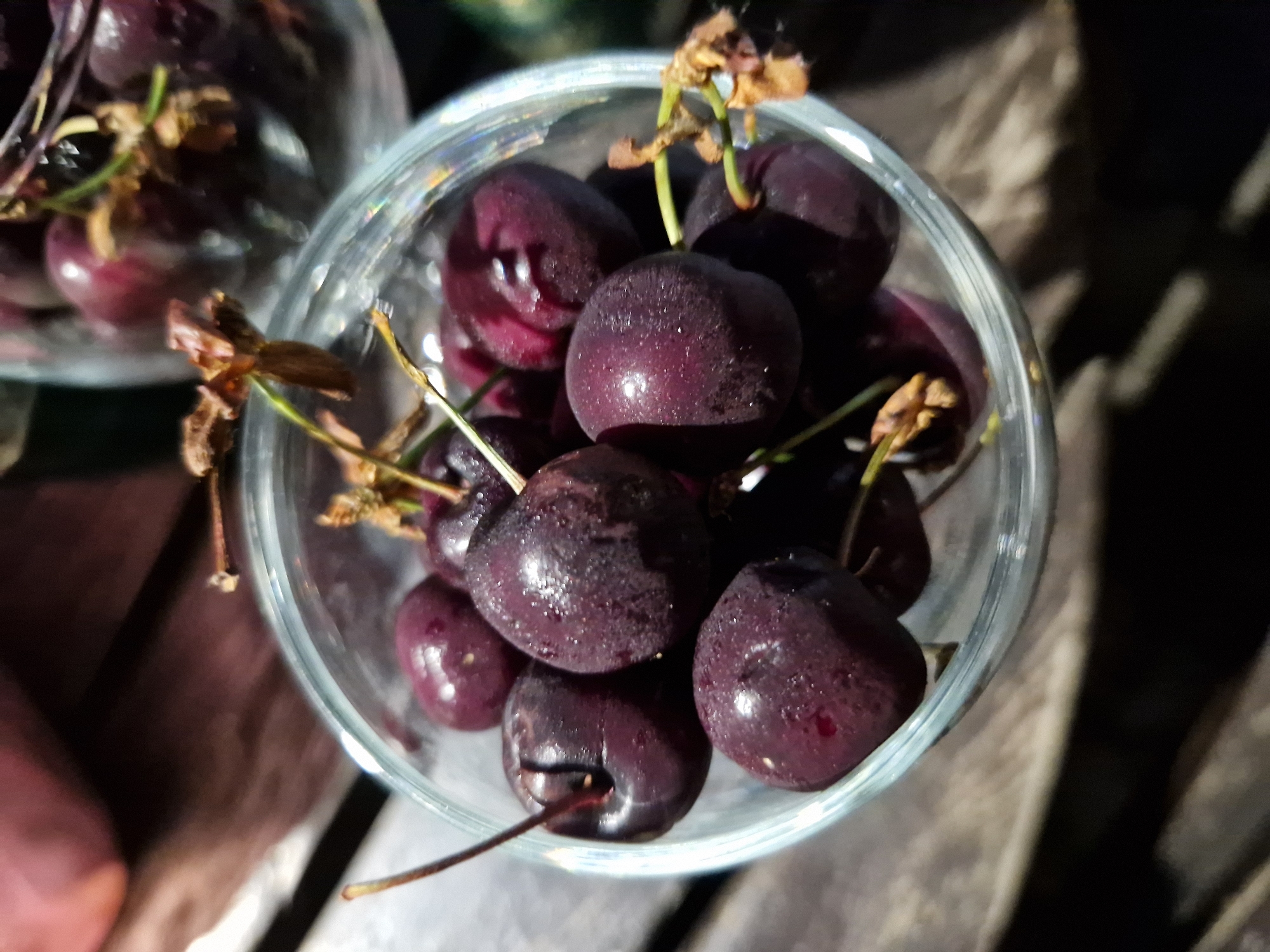 A close-up, overhead shot captures a glass jar filled with dark red cherries, glistening with water droplets. The cherries are plump and appear fresh, with some stems still attached. The jar is made of clear glass and rests on a wooden surface, which is blurred due to the shallow depth of field. Sunlight illuminates the scene, casting shadows and highlighting the texture of the cherries. The background is dark and out of focus, with hints of other objects, possibly more cherries in another jar, and a muted pinkish-brown form. The overall impression is of a simple, natural still life, likely taken outdoors during the day. There is no indication of a specific location in Sofia, Bulgaria, or any human presence.