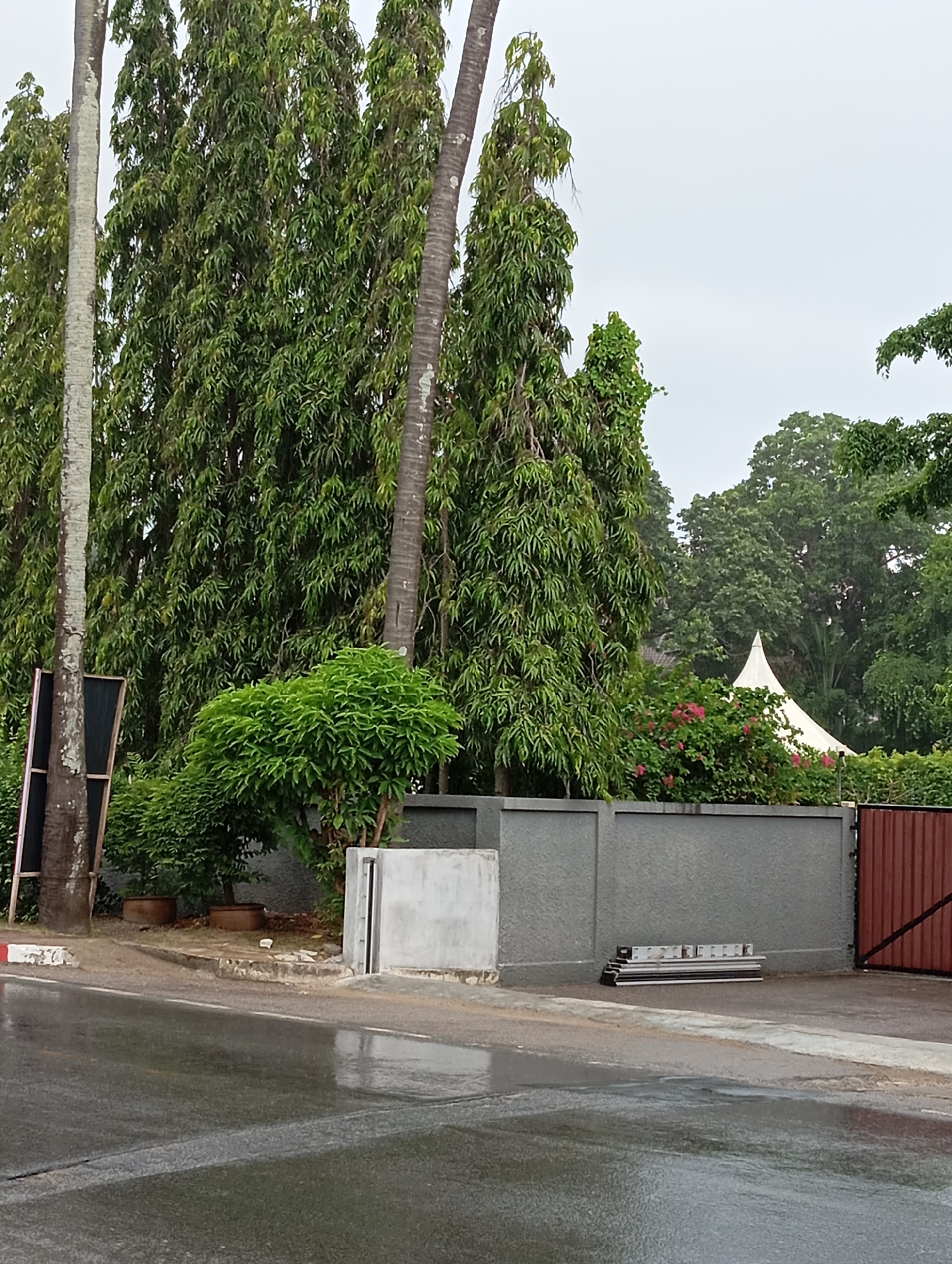 The image depicts a street scene in Karon, Thailand, with a focus on a grey concrete wall bordering a property. Tall, slender green trees with dense foliage line the background. To the left, a tall palm tree with a rough, textured trunk stands beside a dark rectangular sign mounted on a wooden frame. In the foreground, a wet, dark asphalt road reflects the overcast sky. The grey wall has a section of lighter grey concrete with a vertical indentation on the left and a brown metal gate on the right. Stacked metal frames or ladders are placed on the ground against the wall near the gate. In the distance, a white, pointed tent structure is visible above some greenery. The overall impression is one of a residential or commercial property entrance on a cloudy day, with lush vegetation.