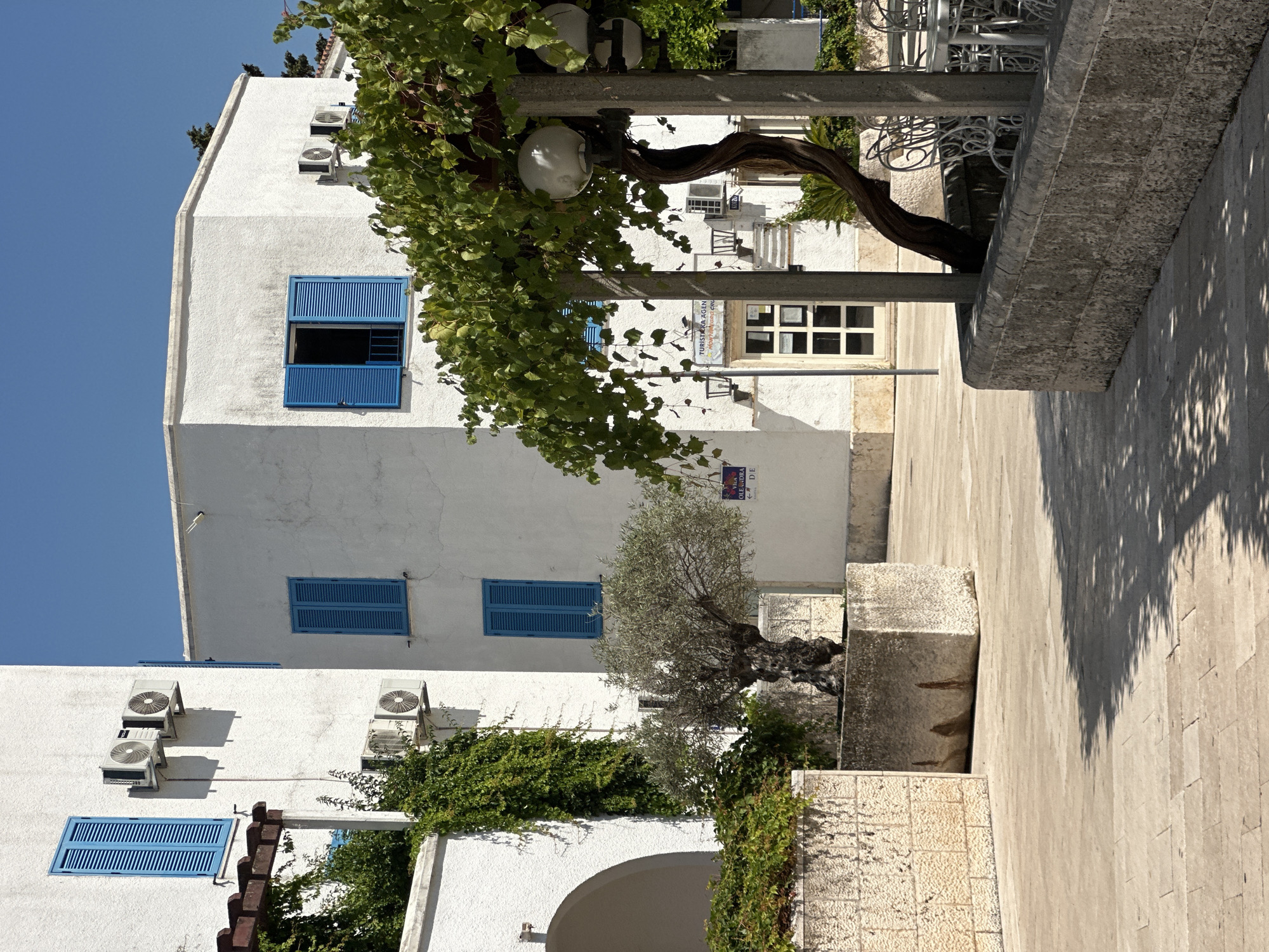 The image depicts a sun-drenched courtyard with white buildings and blue shutters, characteristic of Mediterranean architecture, located in Budva, Montenegro. In the foreground, a paved area is partially shaded by trees, with stone planters and a weathered olive tree. The buildings feature multiple air conditioning units mounted on their exteriors and are adorned with vibrant green vines. A covered seating area with tables and chairs is visible on the right side of the frame. A sign with text in an unfamiliar language indicates a tourist agency. The sky is clear and blue, suggesting a warm, sunny day.
