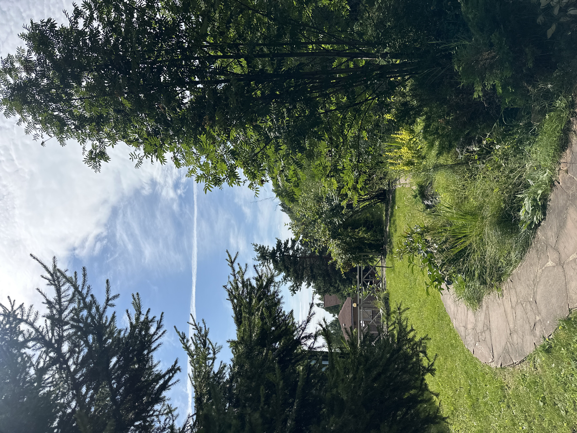 The image depicts a serene outdoor scene, likely a garden or park area, with lush green grass and a winding flagstone path in the foreground. Tall trees, including a prominent fir tree on the left and a leafy tree on the right, provide shade. In the background, a small building with a brown roof and a wooden fence are visible. The sky is a bright blue with wispy white clouds. The overall impression is one of tranquility and natural beauty. It is not possible to determine the specific location within Listvyanka, Russia, based solely on this image.