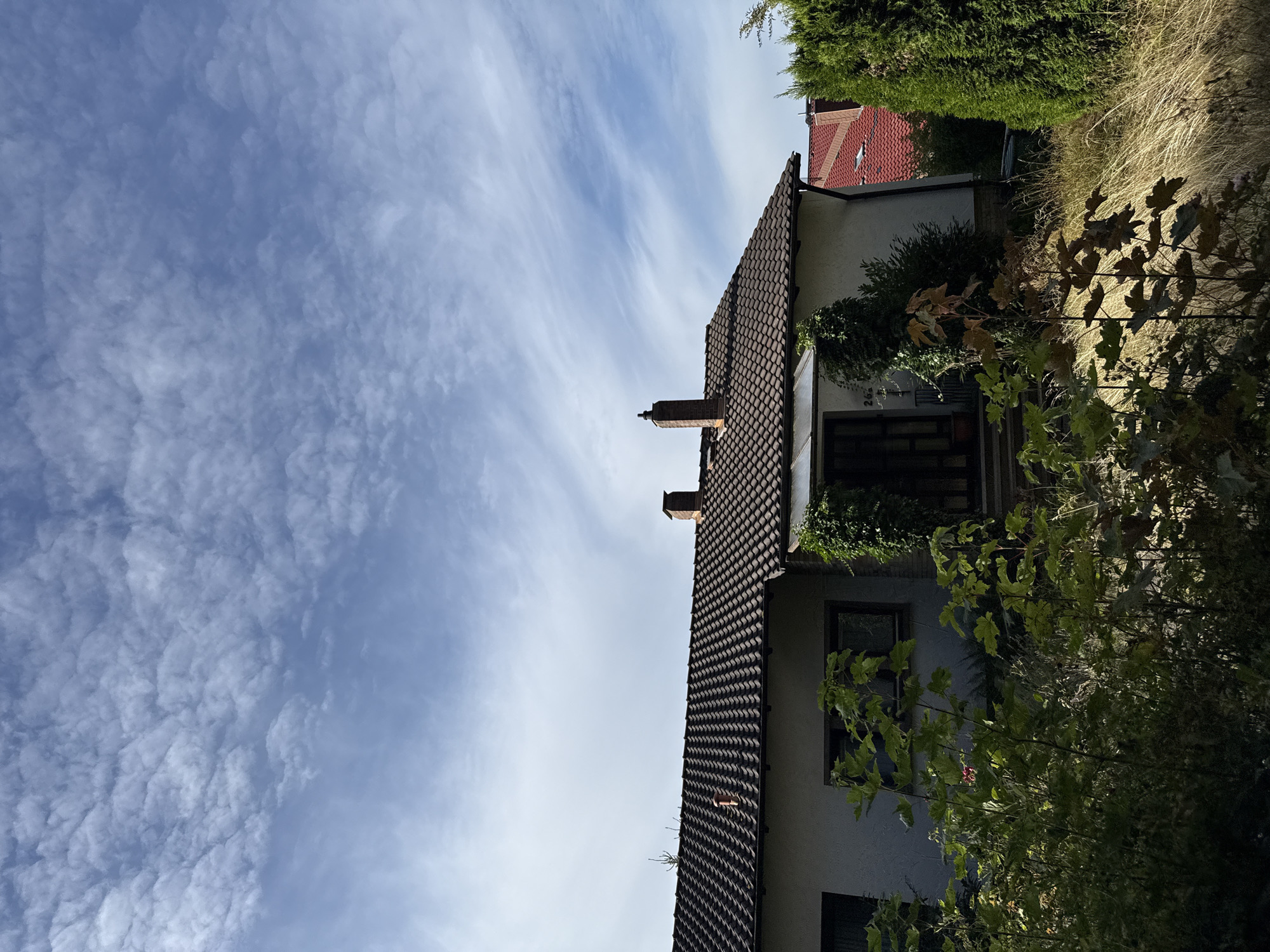 The image depicts a residential house with a tiled roof and two chimneys, located at the street number 26a in Bad Sachsa, Germany. The house has light-colored walls and windows. In the foreground, there is dense vegetation including trees and bushes, with some dry grass and fallen leaves scattered around. The sky above is blue with scattered white clouds. The image appears to be taken from a slightly elevated position, looking towards the house. There are no people visible in the scene. The overall impression is that of a suburban or rural residential property bathed in sunlight.
