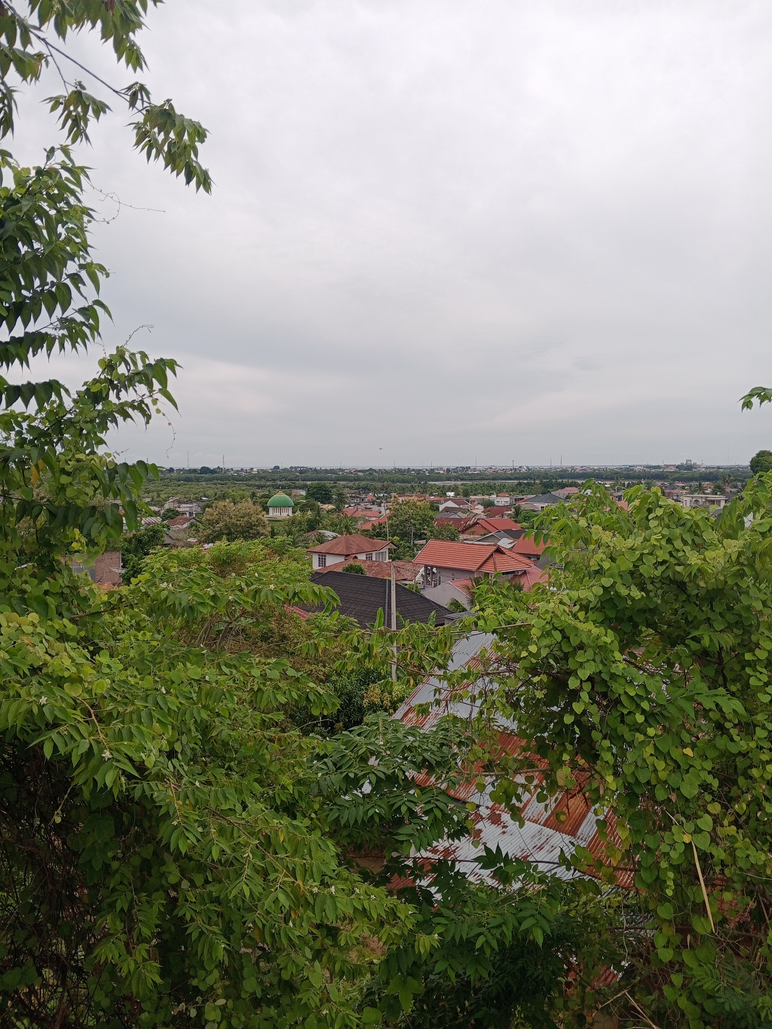 The image presents an elevated view of a residential area, likely within or near Lhokseumawe, Indonesia, judging by the architecture and vegetation. The foreground is dominated by dense green foliage from trees and shrubs, partially obscuring the view. The mid-ground features closely-packed houses with a variety of roof types, including red tile roofs and rusty corrugated metal. A mosque with a green dome is visible among the houses. In the background, the urban area extends to the horizon under an overcast sky. No people or animals are visible. The scene is static and appears to be captured during the day.