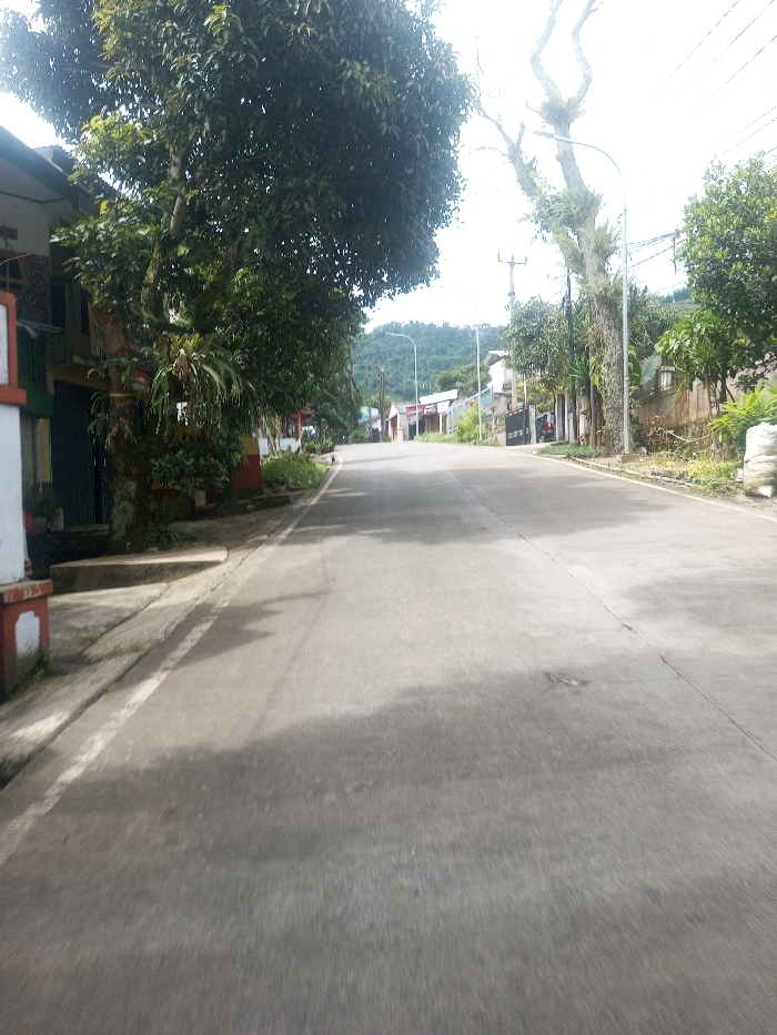 The image displays an empty, paved two-lane road in Sarwahi Mal., India, extending into the distance towards a large, tree-covered mountain. The time is daytime with bright sunlight, casting shadows onto the road surface. On the left, a concrete curb runs parallel to the road, adjacent to a building with a dark green door, largely obscured by a prominent tree with dense green foliage. Further down the left, additional structures and trees are visible. On the right side of the road, a tall, gnarled tree with sparse leaves and epiphytic plants clinging to its branches stands next to a white street light pole. Utility poles and overhead lines are present. A row of low-rise buildings, some featuring red accents or roofs, lines the right side of the road, interspersed with various green trees and shrubs. A red motorcycle is partially visible parked behind a fence further along the right side. No individuals or vehicles are actively present on the road.