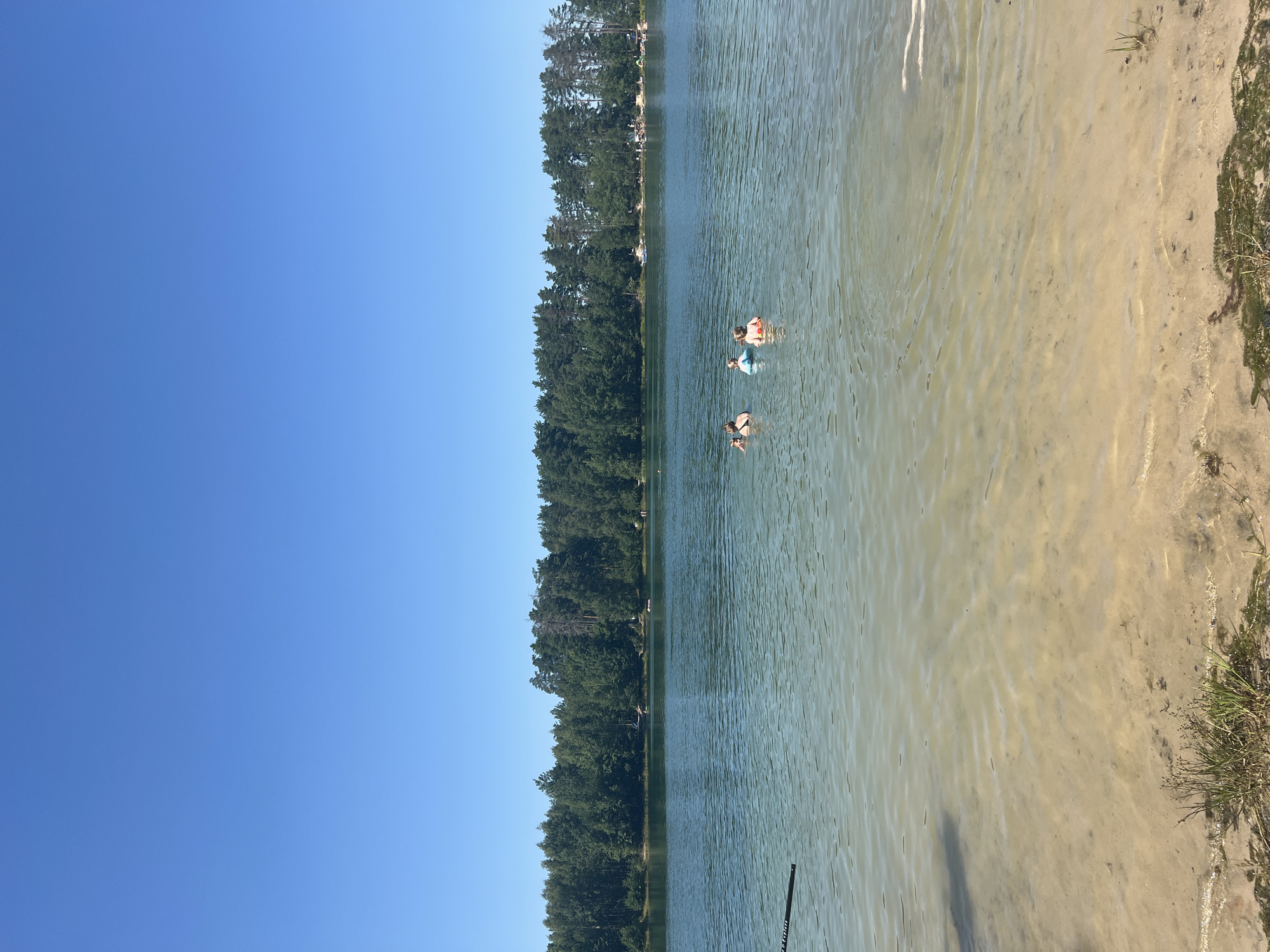 The image depicts a serene summer day at a sandy beach on a lake in the city of Esino, Russia. The sky is a clear, vibrant blue, stretching across the upper portion of the frame. The lake's water is calm and clear, revealing the sandy bottom near the shore. In the middle ground, four individuals are enjoying a swim in the lake. Two are closer to the viewer, appearing to be an adult and a child, while two others are further away. The background is dominated by a dense, verdant forest that lines the opposite shore of the lake. The sandy beach in the foreground is sparsely vegetated with tufts of grass and some scattered debris. The overall impression is one of a tranquil natural setting perfect for recreation.