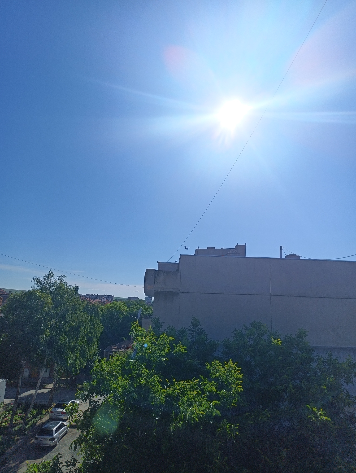 The image captures a bright, sunny day in Karnobat, Bulgaria. The scene is dominated by a clear blue sky with the sun positioned prominently in the upper right quadrant, casting a brilliant glare and lens flares across the frame. A thin, dark wire stretches diagonally across the sky from the upper left to the mid-right.
In the middle ground, a large, plain building with a flat roof stands out. Several dark silhouettes of birds are perched on the edge of this building, with one in flight to the left. Beyond this building, a scattering of other buildings with terracotta roofs are visible, suggesting a residential or urban area.
The foreground is filled with lush green trees and foliage. To the left, a street is visible with two parked cars, a silver sedan and a white hatchback, suggesting it is daytime. The sunlight filtering through the leaves creates dappled patterns on the ground. The overall impression is one of a warm, clear day in a European town. No text is visible in the image.