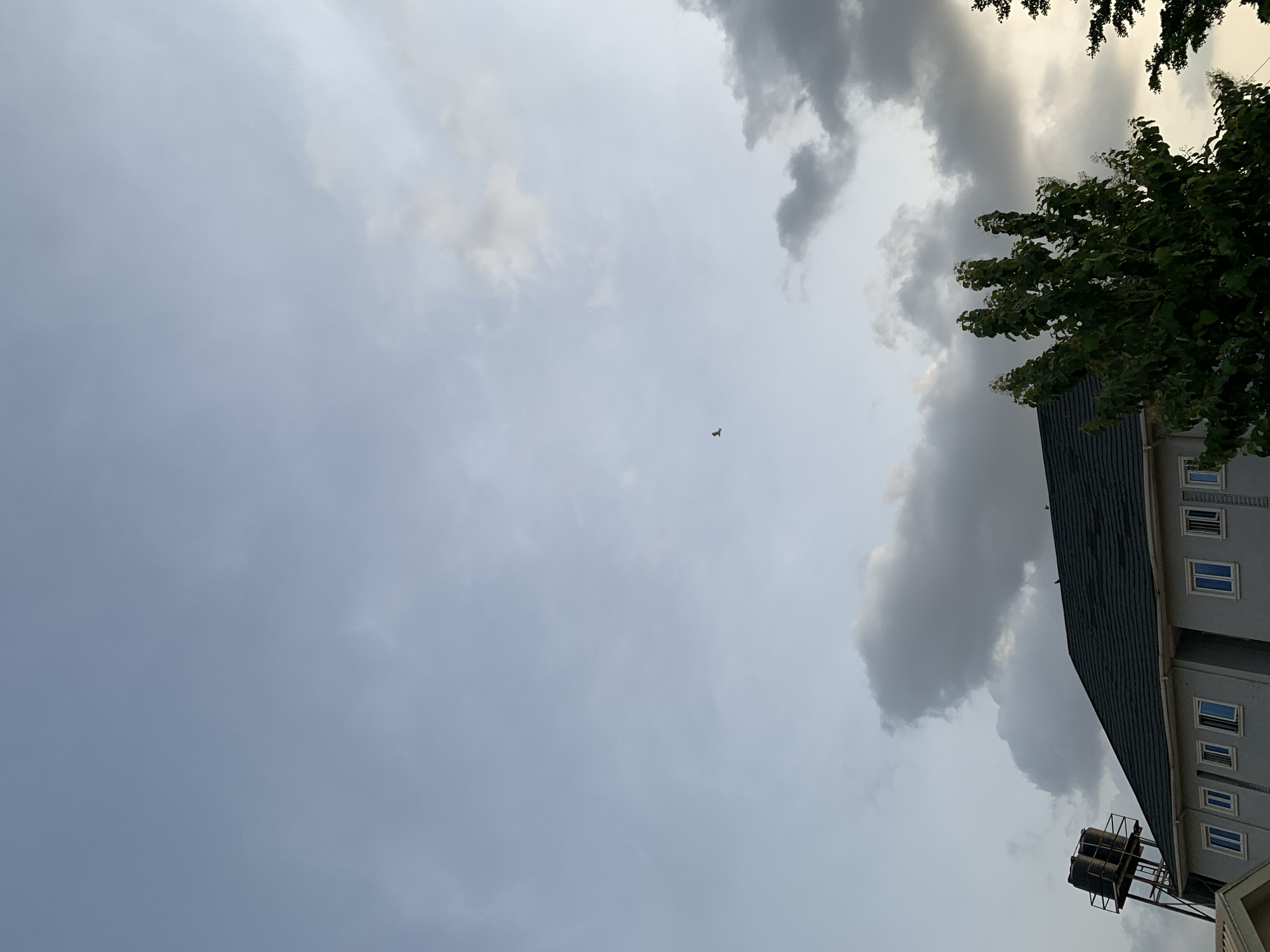 The image shows a sky with gray and white clouds. In the upper right corner, a tree and a building are visible. A bird is flying in the center of the sky. The image appears to be taken in Gwarinpa, Nigeria.