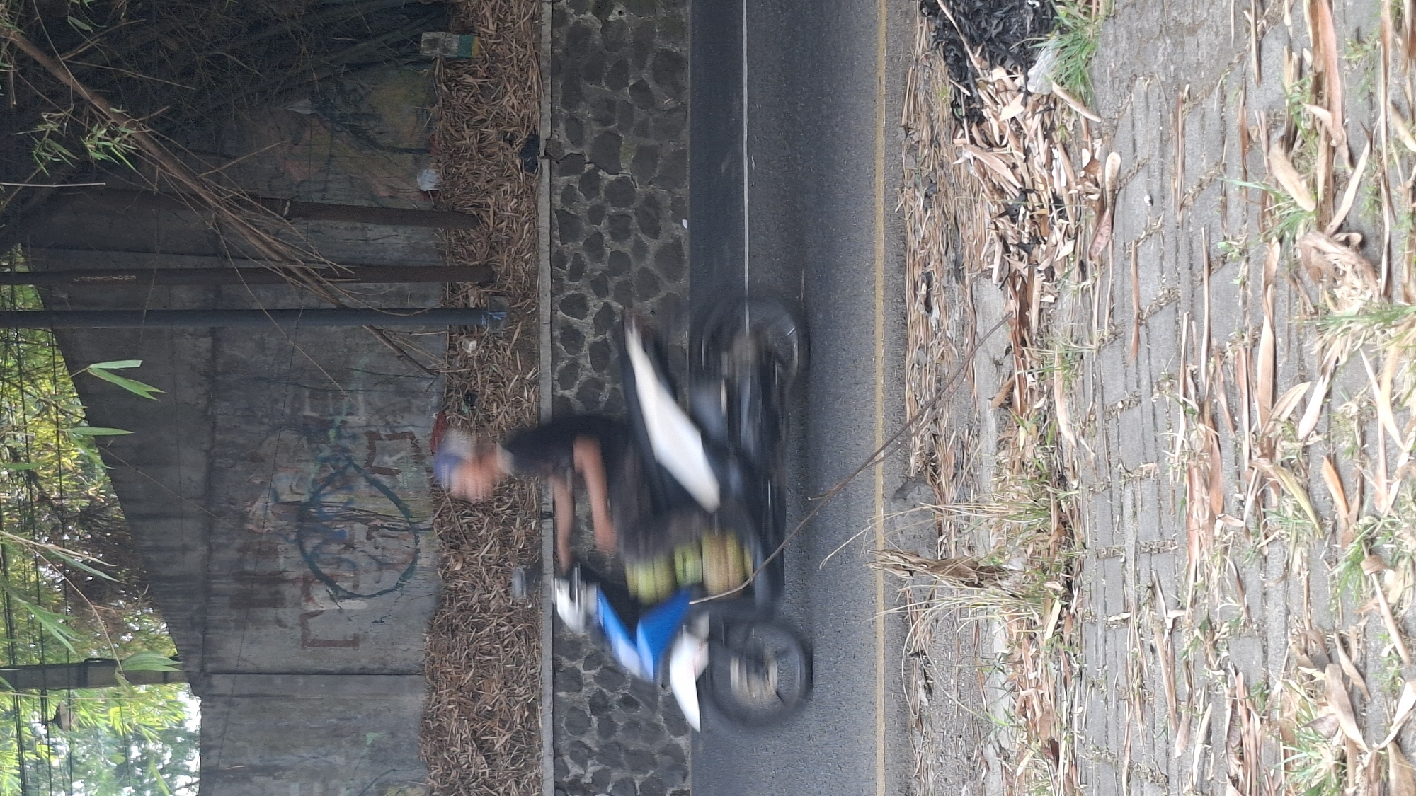 A person on a moving motorcycle is captured in motion blur as they ride along a paved road. The motorcycle is predominantly white with blue accents on the front. The rider, also blurred, is wearing a dark t-shirt and a blue and white cap. They appear to be carrying yellow containers on the back of the motorcycle.
The road is bordered by a rough, dark stone wall on the left, behind which a concrete wall with graffiti is visible. Overhead, bamboo trees with green leaves cast shadows. The ground beside the road is covered with dry leaves and some sparse green grass. The foreground shows a brick-like pavement also littered with dry leaves and small patches of grass. The scene suggests an outdoor environment, possibly a roadside in a semi-urban or rural area.