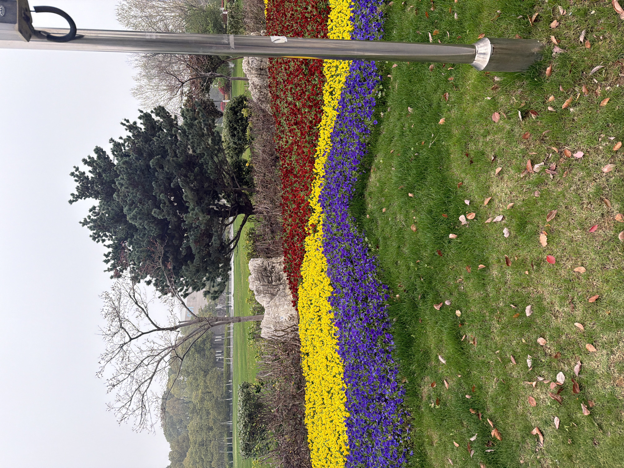 The image depicts a park scene in Jiangning District, China. A strip of flowers runs through the scene, with distinct sections of red, yellow, and purple flowers. Adjacent to the flowers is a green lawn with scattered brown leaves. Several trees are visible, including a large, dark green tree, a bare tree, and rows of trees in the background. A silver pole is positioned in the foreground. The sky is overcast. There are no visible people or interactions.
