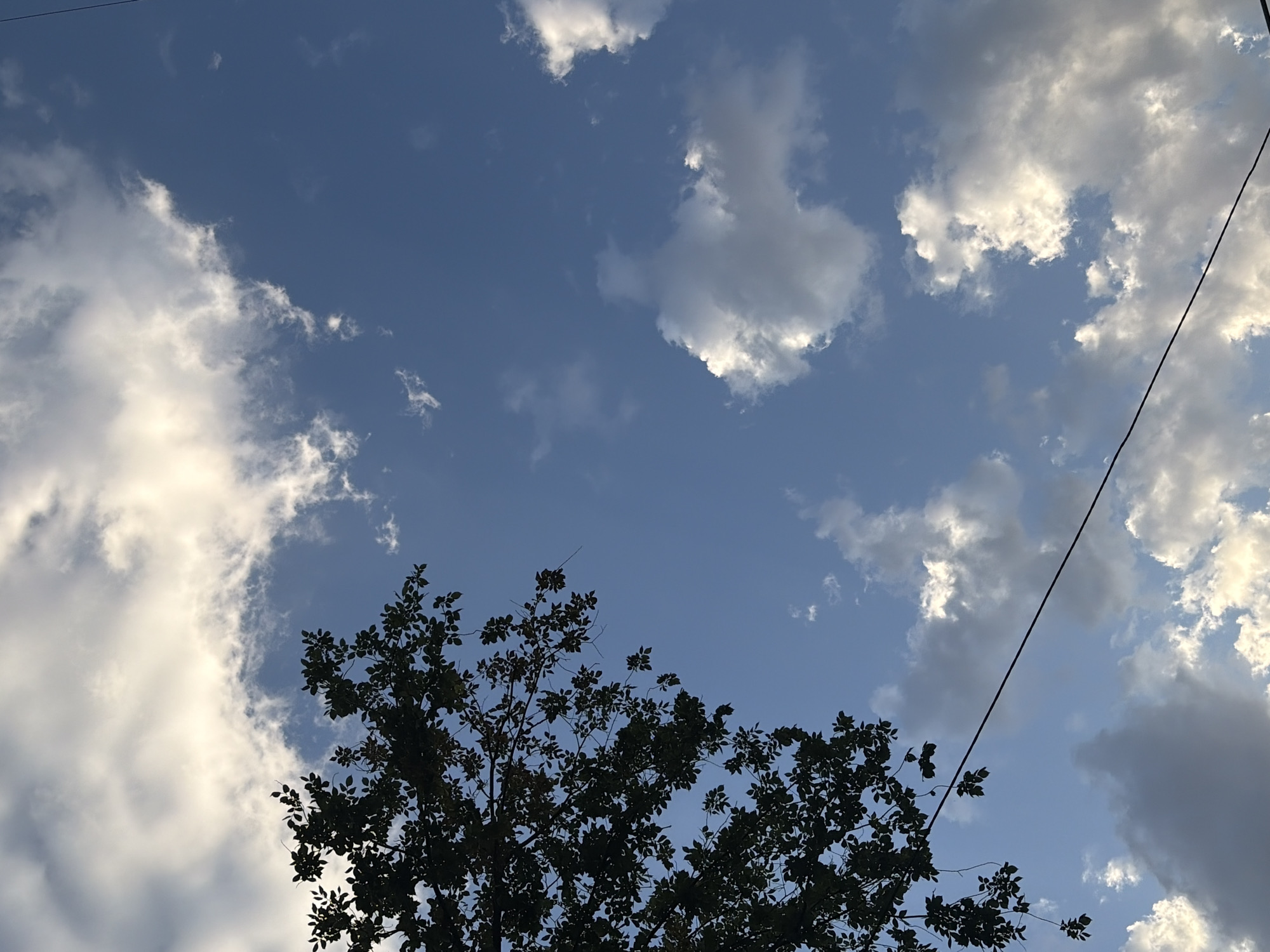 The image captures a section of the sky above Almaty, Kazakhstan, featuring a clear blue expanse dotted with fluffy white and gray clouds. A silhouetted tree with dense foliage occupies the upper left portion of the frame, its branches reaching into the sky. A thin, dark wire stretches diagonally across the lower half of the image, its purpose and origin unclear from the visual alone. The lighting suggests it is either early morning or late afternoon, given the soft illumination on the clouds. There are no people or discernible structures visible, focusing the scene solely on the natural elements of the sky, tree, and the man-made wire.