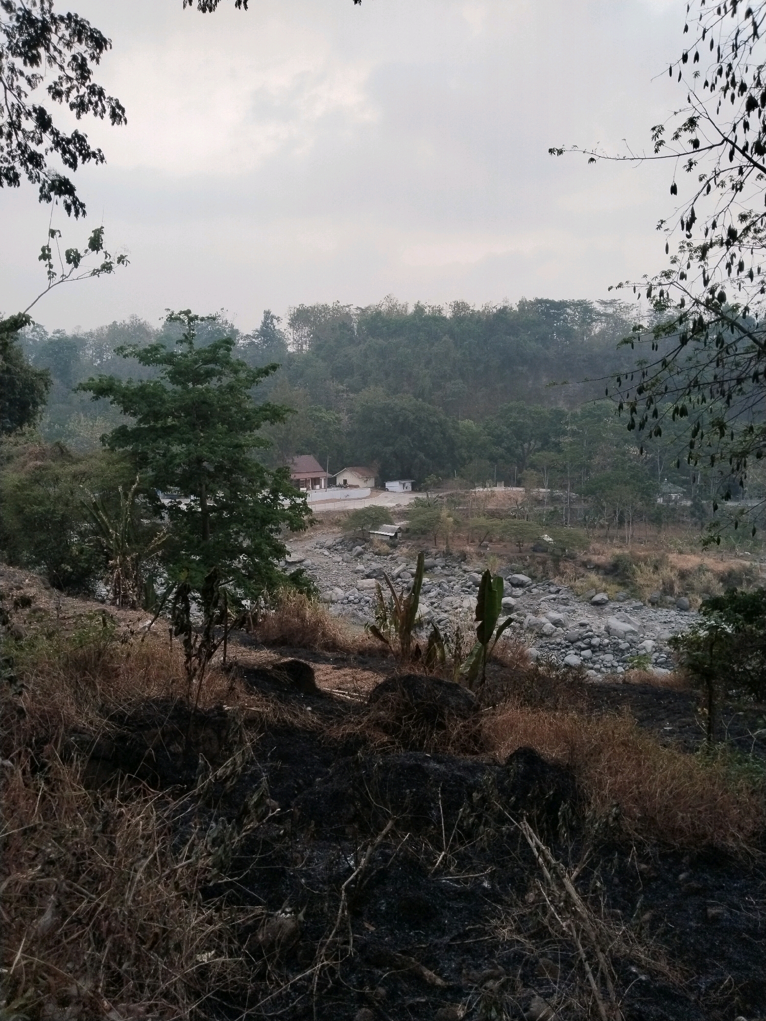 The image depicts a dry, rocky riverbed with sparse vegetation in the foreground and middle ground. The riverbed is littered with large, gray stones and a few patches of dry grass and dead plants. In the background, there is a dense forest covering rolling hills. A few small buildings, possibly houses, are visible amidst the trees. The sky is overcast with a light, hazy gray color. The foreground shows evidence of a recent fire, with blackened ground and scorched dry grass. The scene appears to be a natural landscape in a rural area, possibly Sangkanjaya, Indonesia, given the tropical vegetation and architectural style of the buildings. There are no people visible in the image, and no specific actions or interactions are taking place. The overall atmosphere is one of dryness and desolation, possibly due to drought or recent fire.