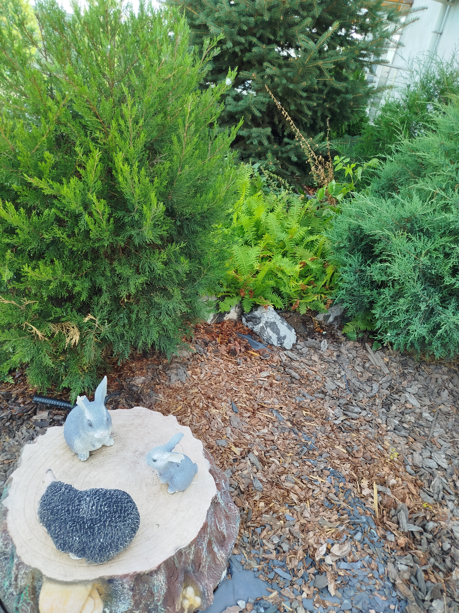 This is a medium shot of an outdoor garden scene. In the foreground, a light-colored tree stump serves as a display for several decorative garden figures. A dark, textured hedgehog figure is placed on the left side of the stump, with two light gray bunny figures positioned to its right. The stump itself is round and has visible wood grain. Behind the stump, the ground is covered in bark mulch. The background is filled with various types of lush green coniferous trees and ferns, creating a dense natural backdrop. A large grey rock is visible amongst the foliage and mulch in the middle ground. The scene appears to be well-maintained.
