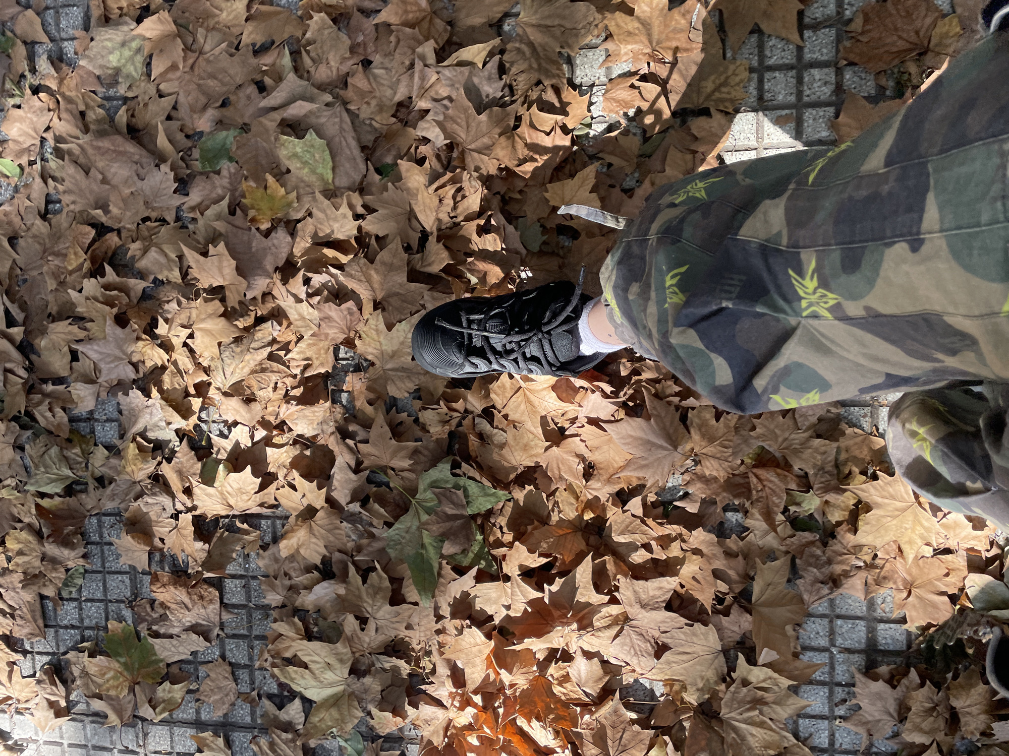 The image shows a paved surface covered with fallen, mostly brown, leaves. Some green leaves are also present. A person wearing camouflage pants and black shoes is standing on the leaves. The paved surface appears to be composed of small square tiles. The scene could be in Buenos Aires, Argentina, given the common presence of plane trees and similar pavement in the city.