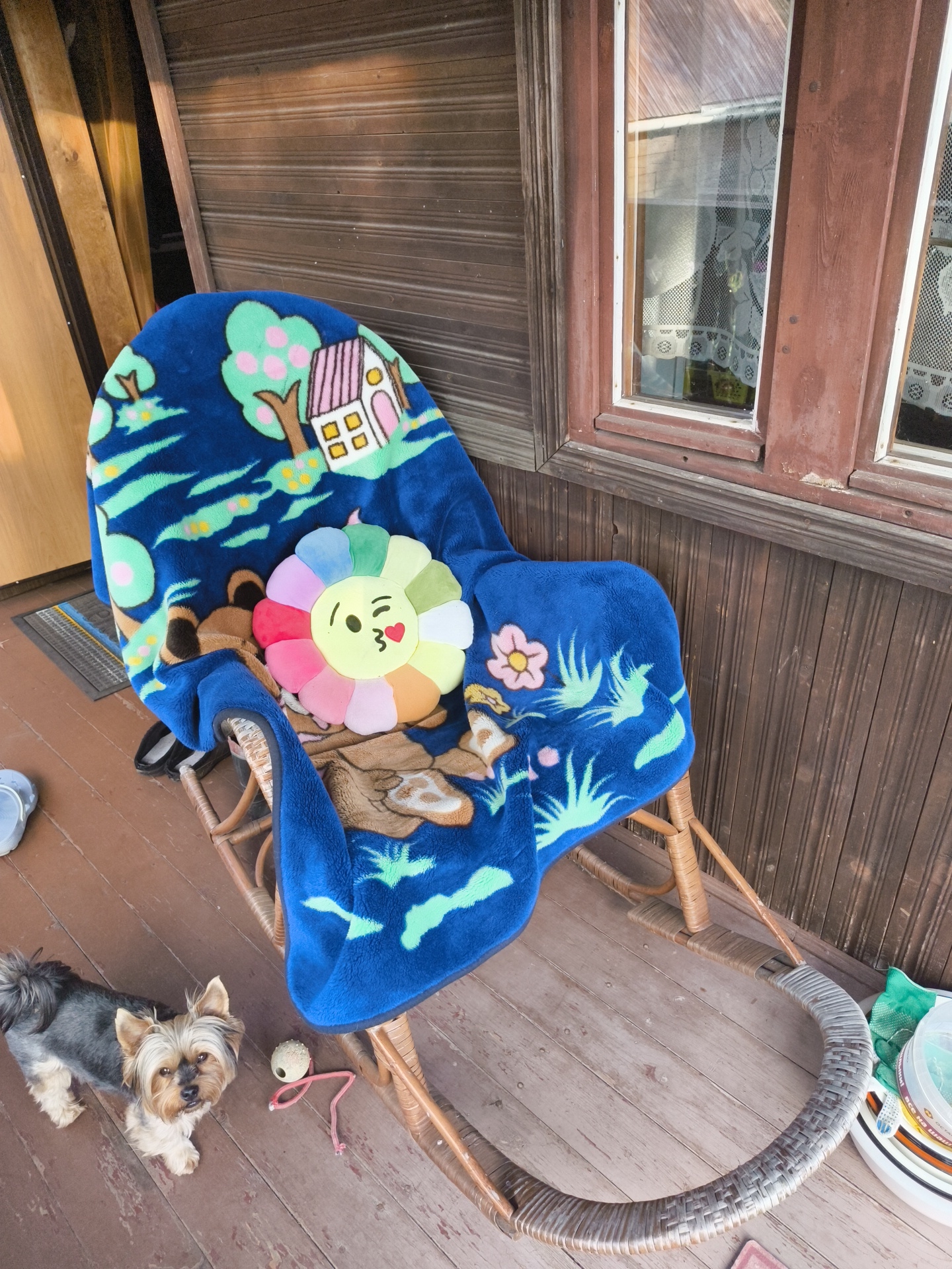 In the city of Vostets SNT, Russia, a dog is standing on a wooden porch next to a rocking chair. The rocking chair is covered with a blue blanket with a cartoon print of a house and trees. A colorful flower-shaped pillow is on the blanket. The porch is made of wooden planks. To the right of the chair, a window with white lace curtains is visible. The background shows a wooden wall and some wooden planks leaning against it.