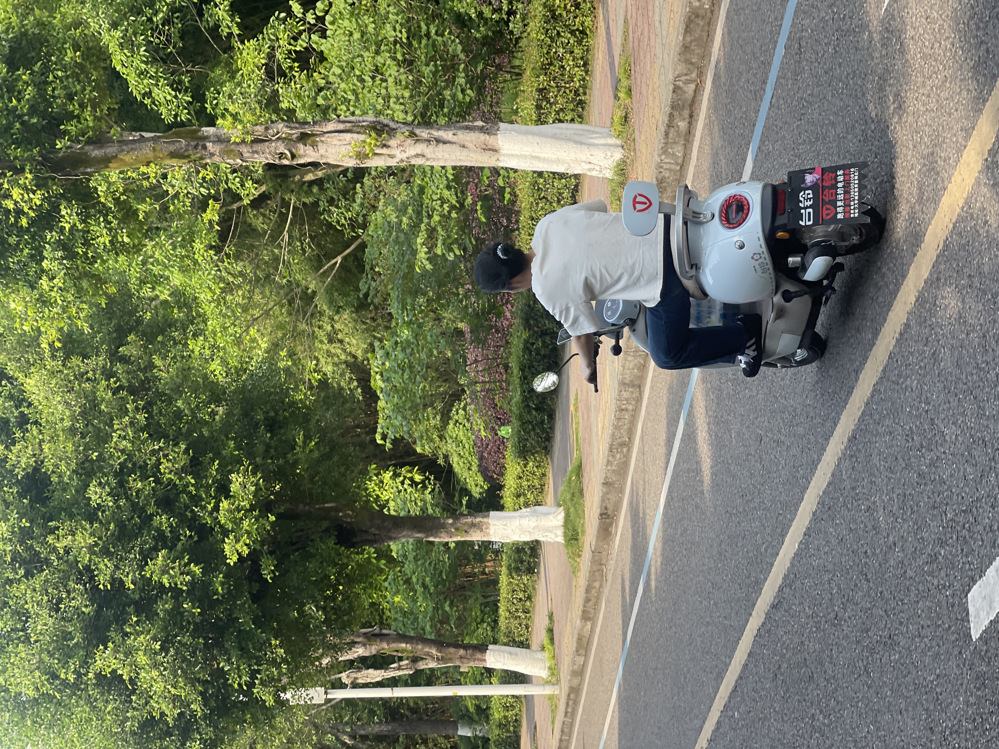 A person rides a white electric moped on an asphalt road with blue and yellow lane markers, with trees alongside the road, some having their trunks painted white. The moped has "台铃" and other Chinese characters on it, including a phone number, indicating a location in the city of Chongqing High-tech Zone, China.