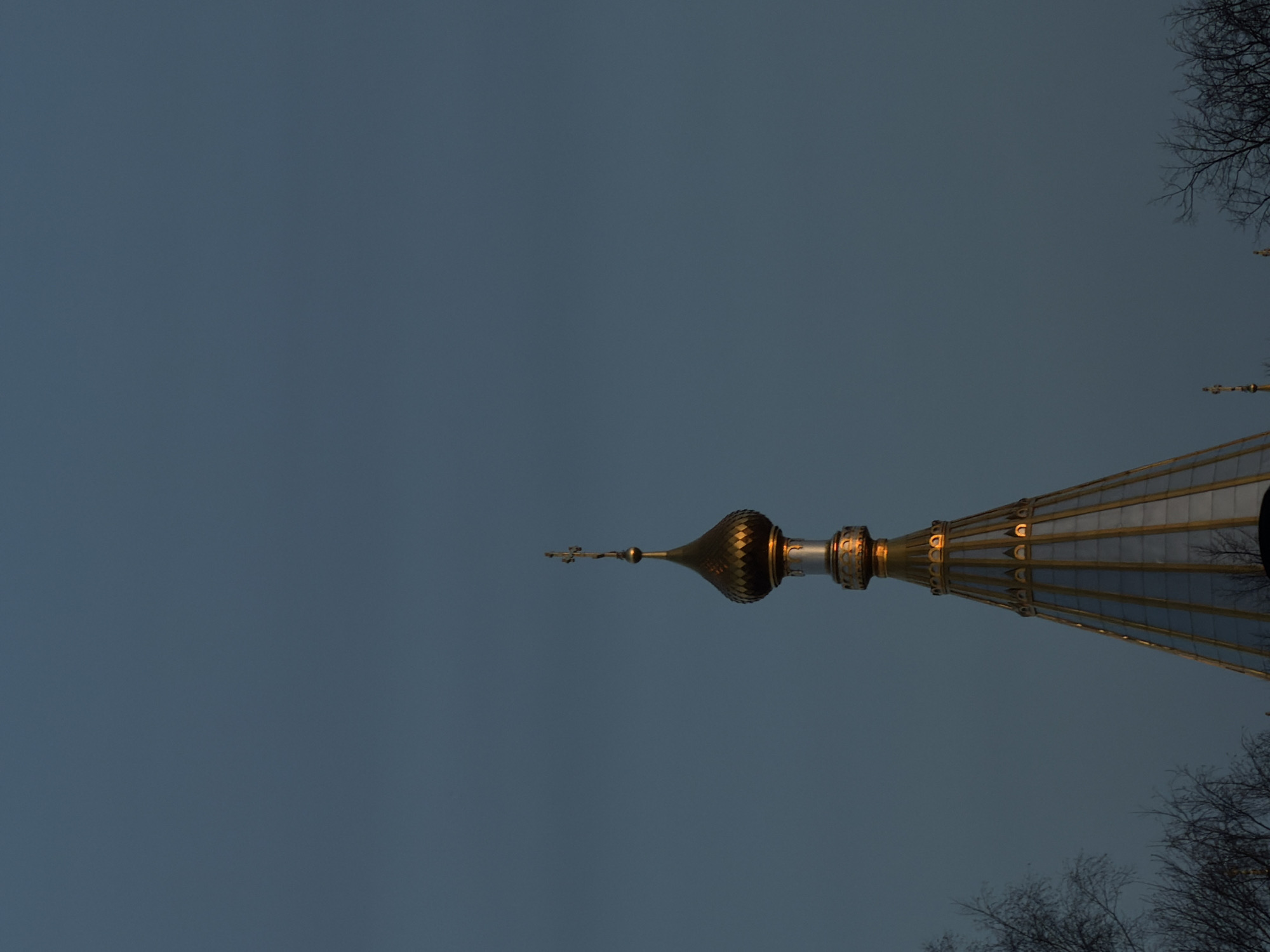 The image shows a nighttime view of the Alexander Nevsky Cathedral in Izhevsk, Russia. The golden dome and cross of the cathedral are prominently featured against a dark blue sky. Bare branches of trees are visible on the right side of the frame. The image is oriented vertically.