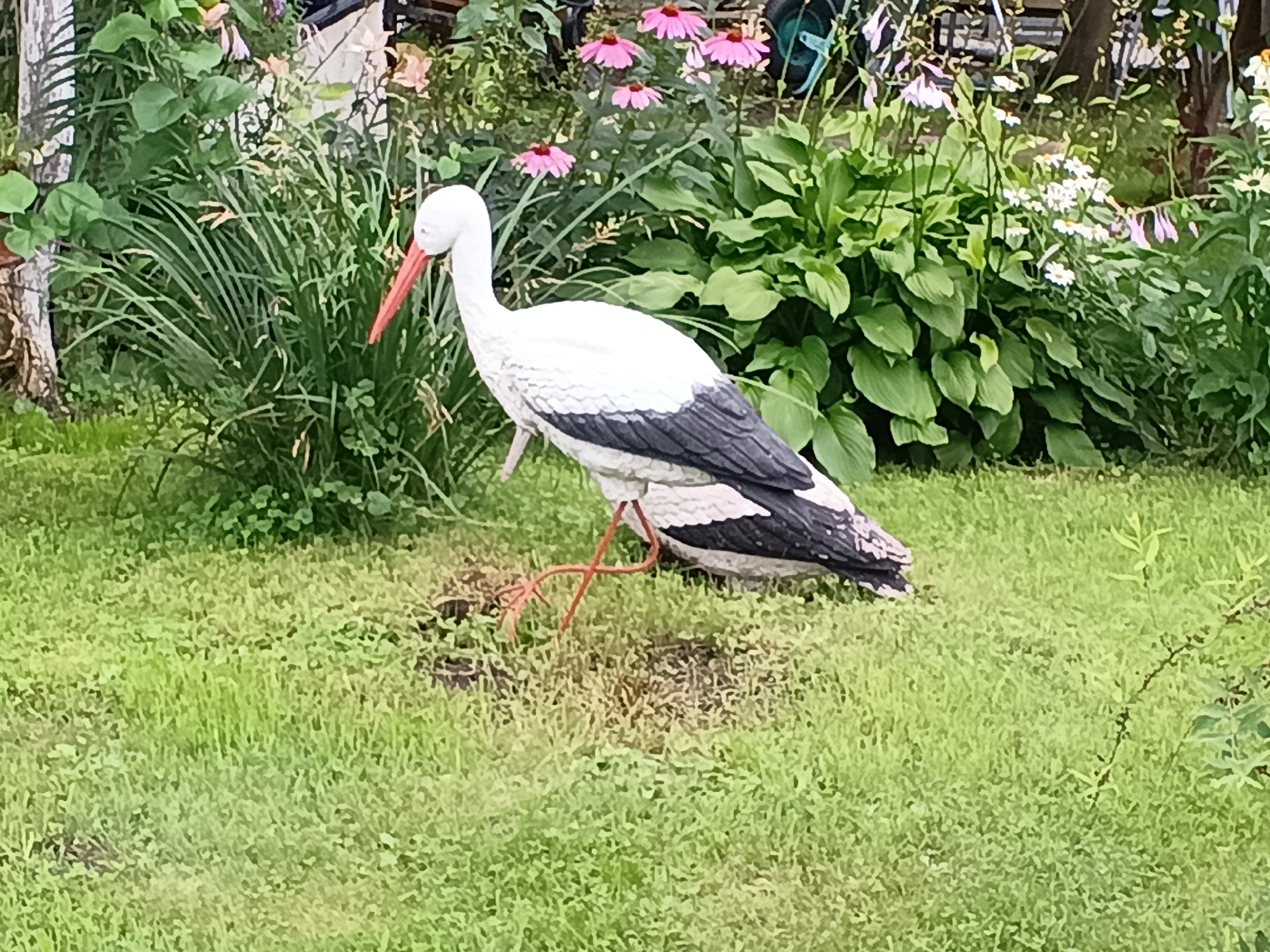 A white and black stork statue stands on a green lawn in front of lush vegetation and pink and white flowers. The stork statue is positioned to the left of the frame, facing right, with its beak slightly open and its long orange beak prominent. Its black and white plumage is clearly visible. The background consists of dense green foliage, including tall grasses and large-leafed plants, with several clusters of pink cone-shaped flowers and smaller white daisy-like flowers. The overall environment appears to be a garden or yard setting within the city of Tatysh, Russia. There are no people or animals present in the image. The lighting suggests it is daytime, likely overcast or late afternoon given the soft shadows.