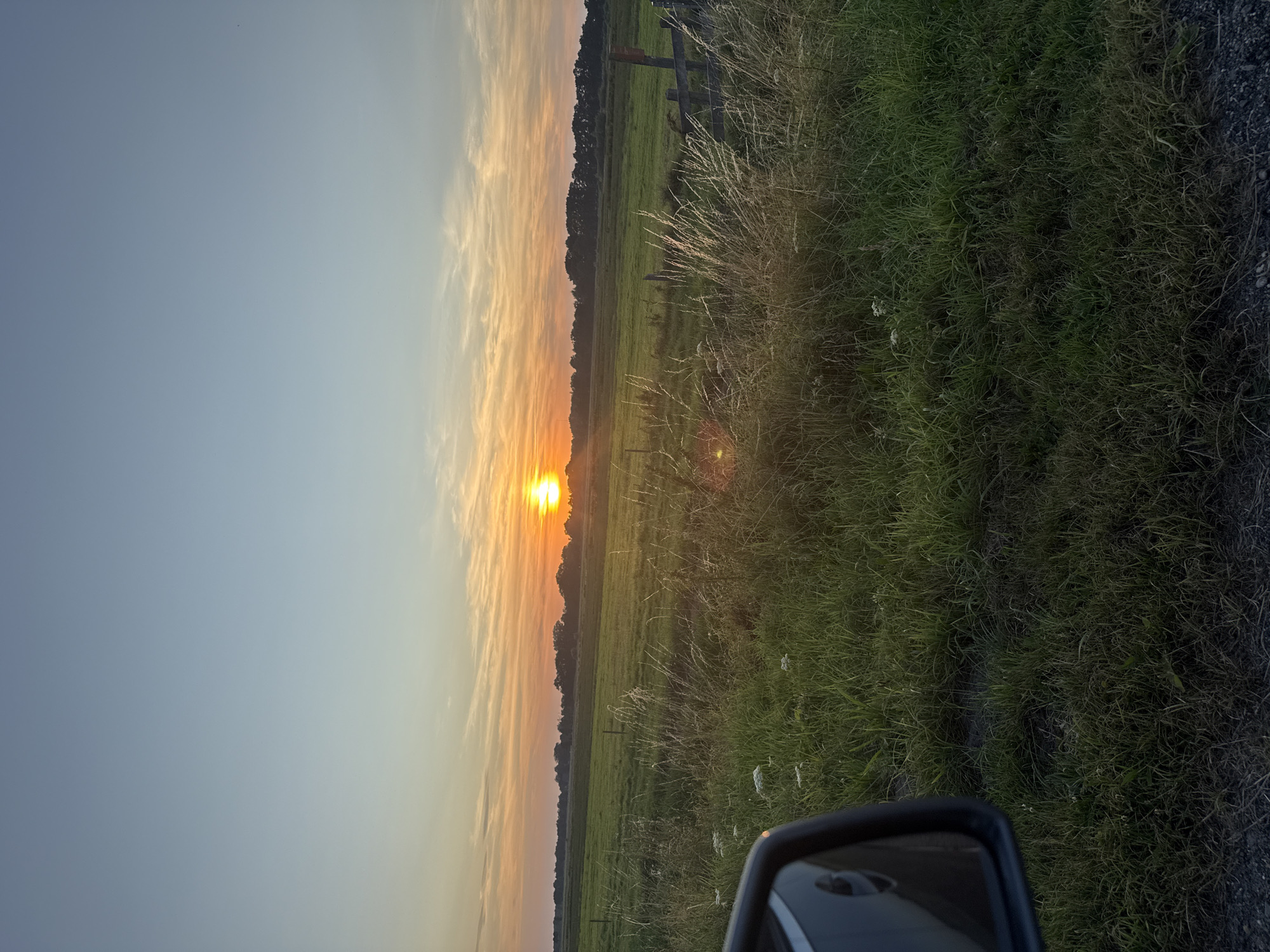 The image depicts a sunset over a rural landscape, viewed from the perspective of a vehicle. In the foreground, the side-view mirror of a dark-colored car is visible on the left, reflecting the sky. The landscape consists of a grassy field with tall, dry grass in the foreground and a neatly mown green field beyond. A line of trees forms the horizon, silhouetted against the colorful sunset sky. The sun is a bright orb, low in the sky, casting a warm orange glow that blends into softer yellow and pink hues, with thin wisps of clouds streaking across the sky. The scene appears to be located in a rural area outside the city of Marum, Netherlands, given the characteristic flat, open fields and distant tree lines. There are no people or animals visible in the image. A rustic wooden fence is partially visible on the right side of the frame. The overall impression is one of a peaceful evening in the Dutch countryside.