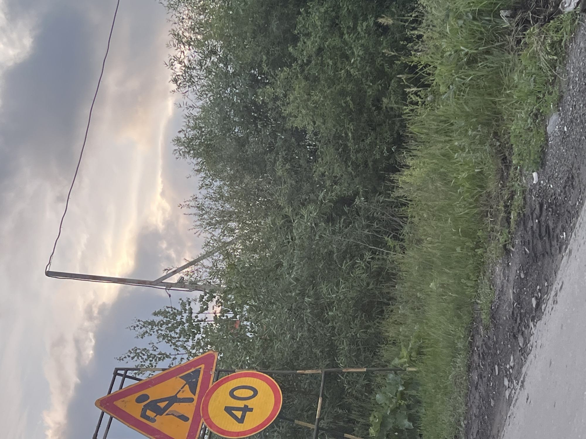 The image shows a road construction warning sign and a speed limit sign with a number 40. The signs are mounted on a metal pole, which is next to a dense green bush and a power line. The sky is cloudy and there are some trees in the background. The scene appears to be on the outskirts of Yekaterinburg, Russia, as indicated by the style of the road signs and the surrounding vegetation, which is consistent with the region. There are no people visible in the image.