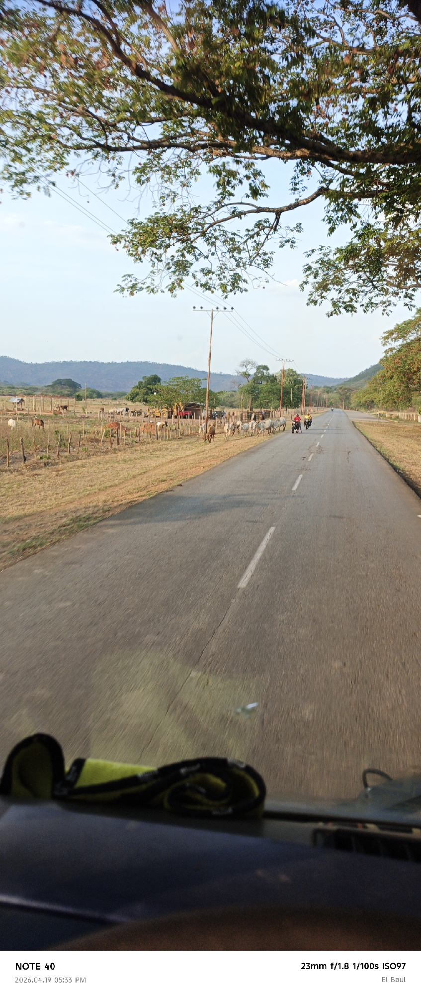 The image shows a view from inside a vehicle looking down a rural road in El Baul, Venezuela. The road extends into the distance, flanked by dry fields on either side. There are utility poles alongside the road and a gathering of cattle in the field to the left. Two motorcycles are traveling down the road in the same direction as the viewpoint. The sky is visible through the branches of trees that overhang the road. The dashboard of the vehicle is visible in the foreground.