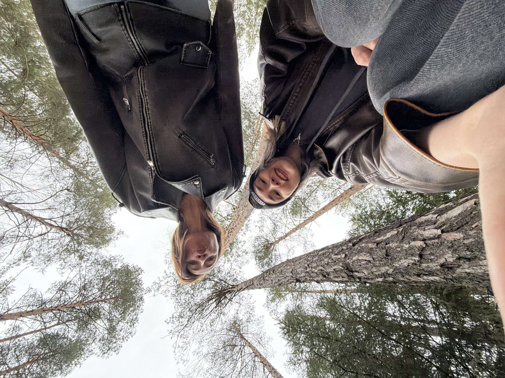 The image presents a low-angle perspective, looking upwards at two individuals framed against an overcast sky and tall trees. The photograph is rotated 90 degrees clockwise, causing the subjects to appear positioned at the top of the frame, looking down towards the viewer, while the trees lie horizontally.
The two main subjects are people, both wearing dark, possibly leather, jackets. The person on the left has light brown hair and looks directly at the camera with a subtle smile. The individual on the right wears a dark beanie or cap and also offers a gentle smile towards the lens. Their expressions convey a relaxed and friendly demeanor.
The background consists of numerous tall coniferous trees, likely pines, with their textured trunks and branches visible against a bright, cloud-covered sky. The setting is clearly a forest or wooded environment, suggesting an outdoor activity on an overcast day. The presence of jackets implies potentially cool weather.
While some small tags or zipper pulls are visible on the jackets, no legible text can be discerned. The scene evokes a natural setting, characteristic of a forest in a location such as Chaikovsky, Russia.