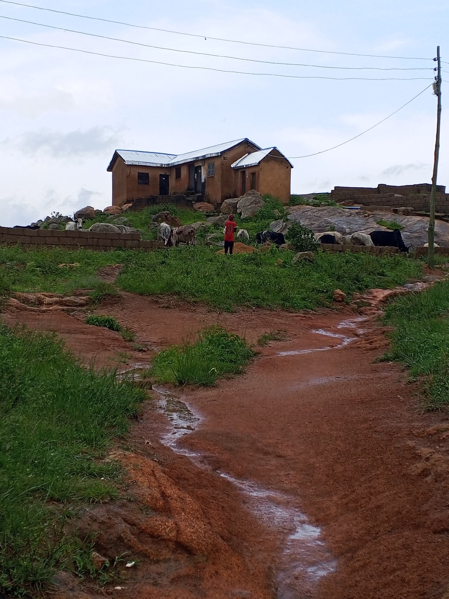This image depicts a rural scene on a rocky outcrop in Jos, Nigeria. A modest, earthen-colored house with a corrugated metal roof sits atop the outcrop, with a partially constructed brick wall extending from it. A person wearing a red shirt with the number 9 is standing near the house, observing a herd of goats and cattle grazing on the grassy slopes and rocky terrain. A dirt path, wet in places, winds down from the outcrop, suggesting recent rainfall. Utility poles and wires are visible in the background, indicating the presence of infrastructure. The sky is overcast, with scattered clouds.