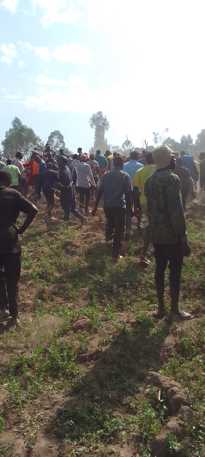 The image depicts a large group of people, predominantly men, moving across an uneven, open field under a bright, clear sky with some scattered white clouds. The ground consists of reddish-brown soil interspersed with patches of green, low-growing vegetation. In the background, a line of trees suggests a rural or semi-rural landscape.
The individuals are dressed in casual clothing of various colors, including blue, yellow, green, red, white, and camouflage patterns. Most are captured from behind, walking in the same general direction, indicating a collective movement, possibly a procession, community gathering, or work activity. Several people appear to be holding long sticks or poles. Fine dust is visible rising from the ground, implying active movement on dry terrain.
The time of day is clearly daylight, likely morning or early afternoon, given the bright sun. On the back of a black t-shirt worn by a person in the left foreground, faint white text reading "TRAINER" is visible. The scene reflects an outdoor community event or activity in a natural setting, consistent with the provided location context of Isukha ICHINA, Kenya. Specific emotions are not clearly discernible due to the distance and obscured faces, but the overall impression is one of purposeful, coordinated movement.