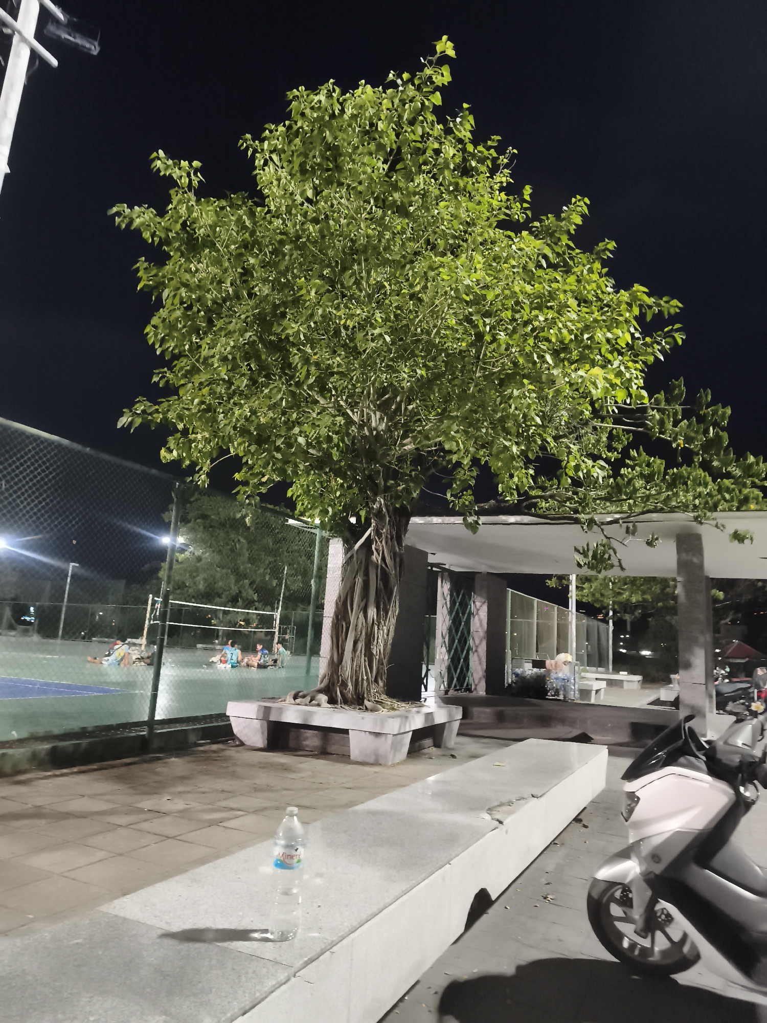 The image shows an outdoor scene at night. In the background is a fenced tennis or volleyball court where several people are sitting or lying down, illuminated by artificial lights. A tree with dense green foliage and aerial roots grows from a concrete structure that serves as a bench or planter. A white motorcycle is parked on the right side of the image. A clear plastic water bottle is sitting on a concrete ledge or bench in the foreground. The location is likely Baan Chaweng, Thailand, based on given context.
