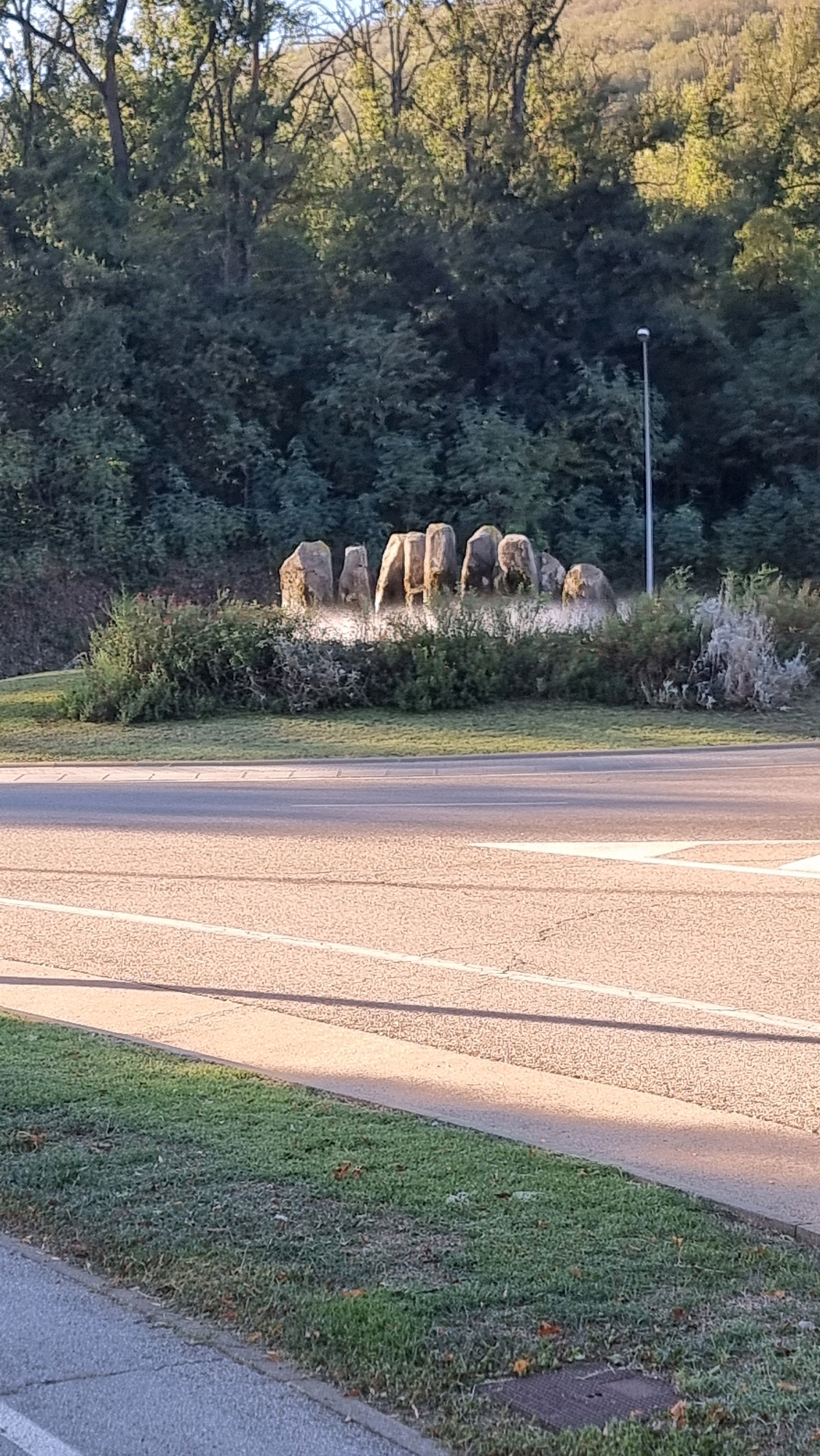 The image shows a roadside sculpture made of large, upright stones arranged in a semi-circle, situated in front of a wooded hillside. A street with lane markings is in the foreground, and a grassy verge separates the street from the sculpture. The sculpture is located in Sant Joan les Fonts, Spain, at the entrance to the area known for its basaltic rock formations. The lighting suggests it is either early morning or late afternoon, with the sun casting long shadows. There are no people or animals visible in the image.