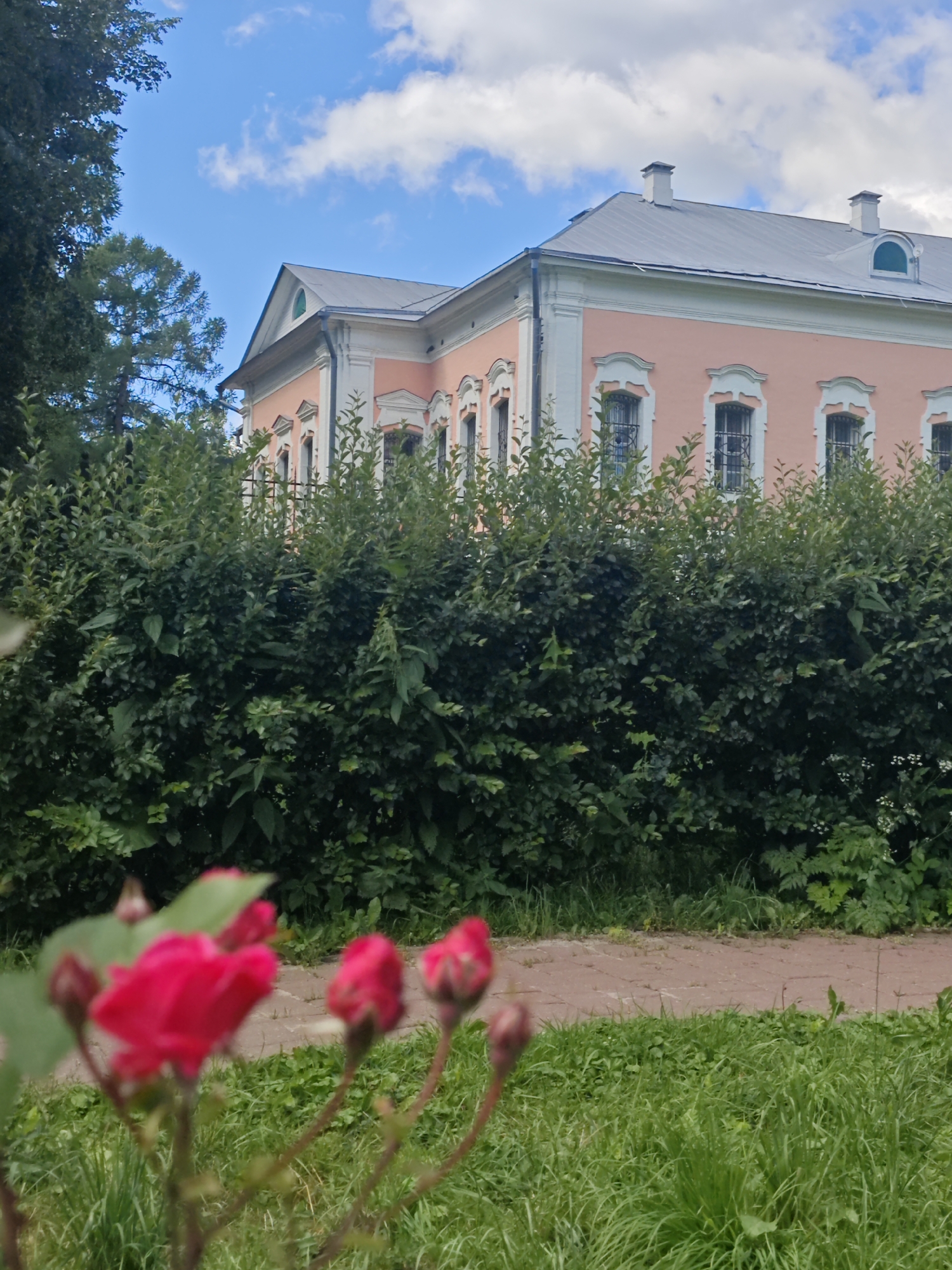 The image depicts a pale pink building with a gray metal roof, featuring several windows with decorative white trim. The building is partially obscured by a dense, dark green hedge in the foreground. Above the hedge, the upper portion of the building is visible, including chimneys and dormer windows. To the left of the building, a portion of a mature tree with dark foliage is visible against a bright blue sky with scattered white clouds. In the immediate foreground, out of focus, are several bright pink rosebuds and one open rose. A reddish-brown path runs horizontally behind the hedge, separating it from a patch of green grass. The scene appears to be an outdoor setting, possibly a park or garden, with the building likely representing a historical estate or institution in Chekhov, Russia.