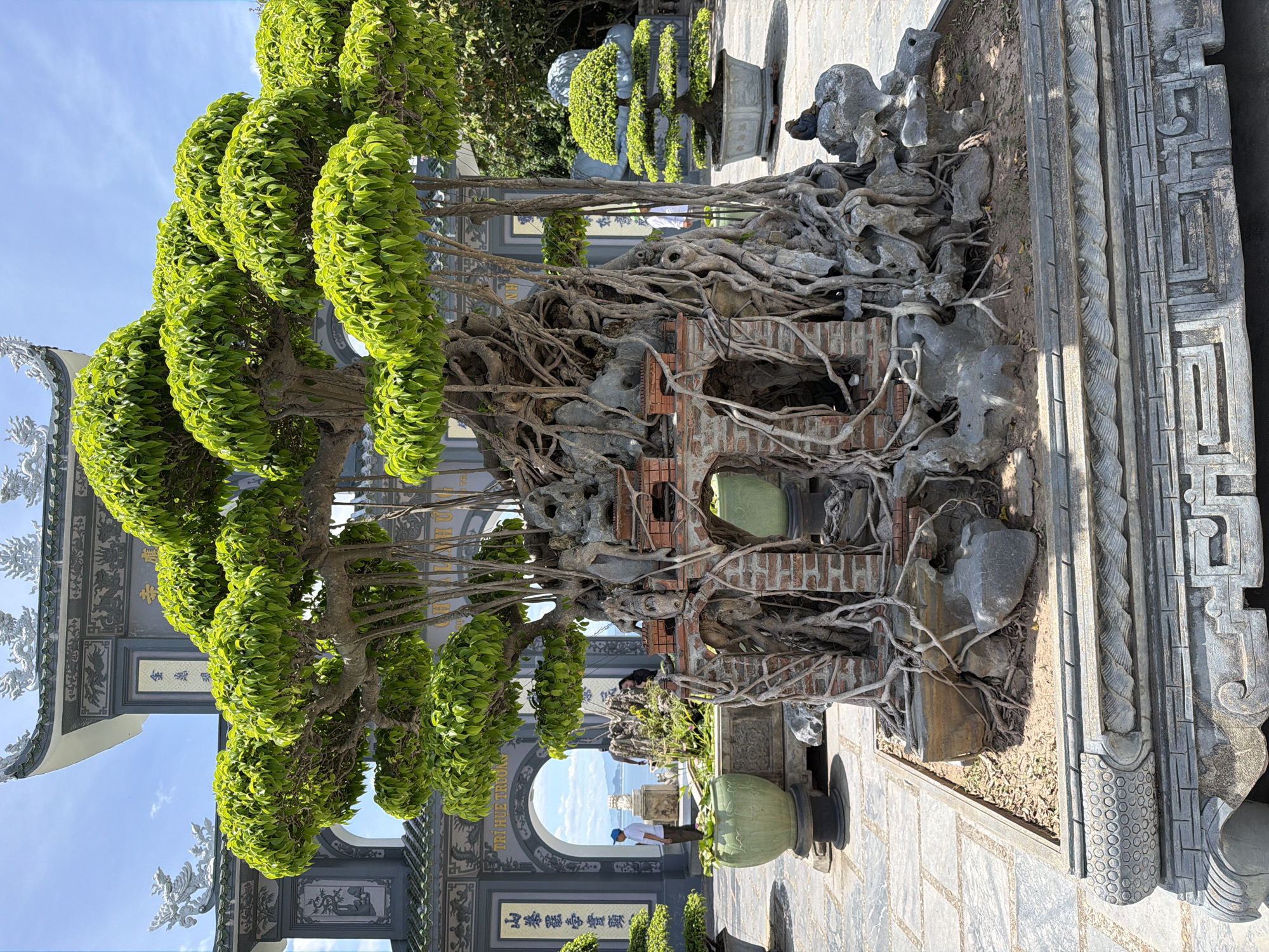The image depicts a large, ancient-looking bonsai tree with thick, gnarled roots that have been artfully trained to form a miniature, brick-lined structure at its base. The tree is meticulously pruned, with lush, green foliage forming rounded canopies. It is planted in a large, ornate stone planter. In the background, traditional Vietnamese architecture is visible, including a large archway adorned with dragon motifs and intricate carvings. The sky is blue with some white clouds. The ground is paved with stone tiles. A person wearing a blue hat and white shirt stands in the archway, looking out towards a body of water. Another person is partially visible behind a smaller bonsai tree to the right. The scene suggests a location within a temple or garden complex in Đà Nẵng, Vietnam, likely in a place that showcases significant botanical art and cultural heritage.