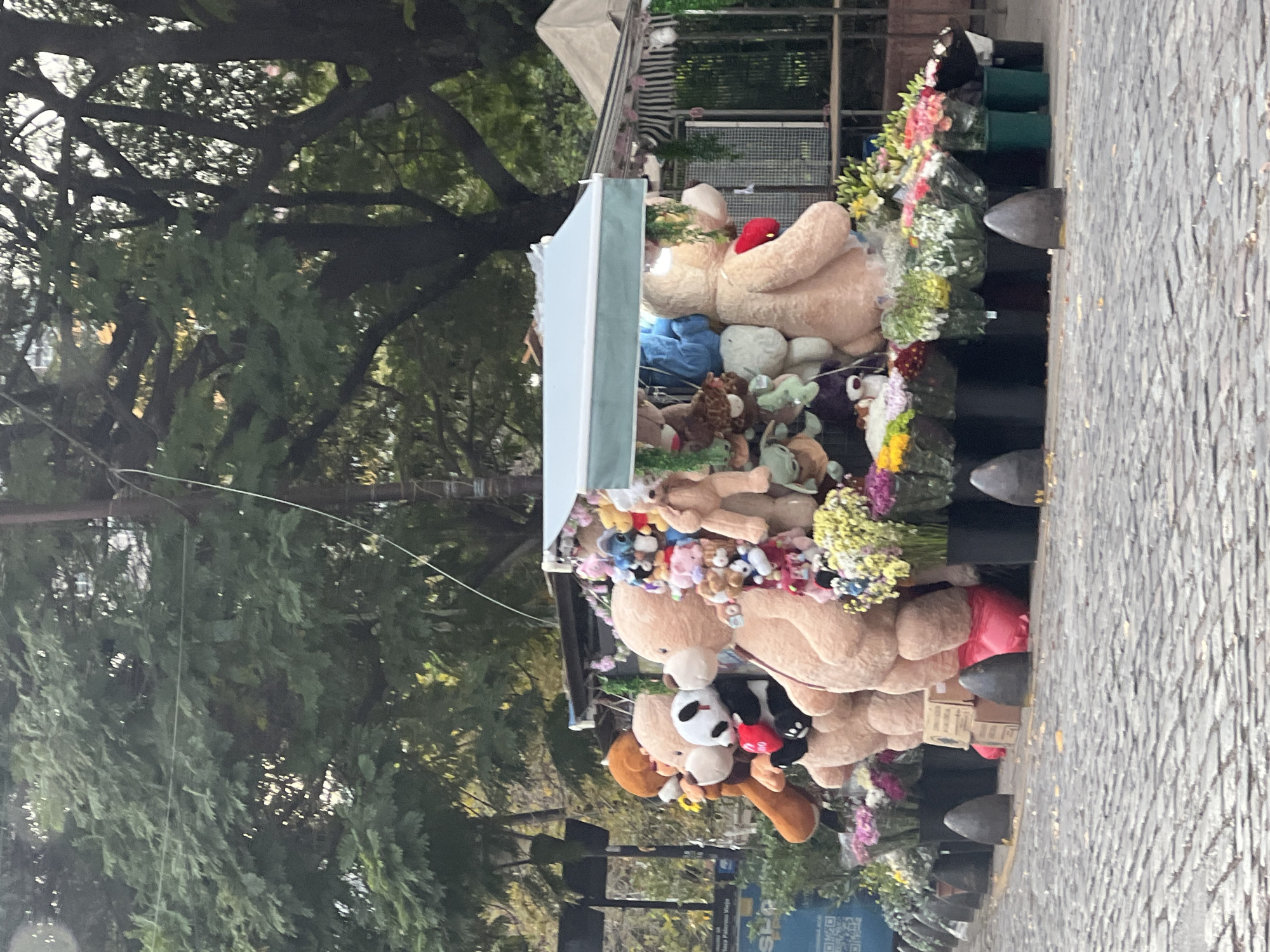 The image depicts a memorial site along a cobblestone street in Buenos Aires, Argentina. A table is piled high with stuffed animals, predominantly teddy bears, and bouquets of flowers. The table has a light blue canopy above. The memorial is situated near a line of bollards along the edge of the sidewalk. Trees with dense foliage are visible in the background. A street sign with a QR code is visible at the bottom of the image. The photo is taken at street level.