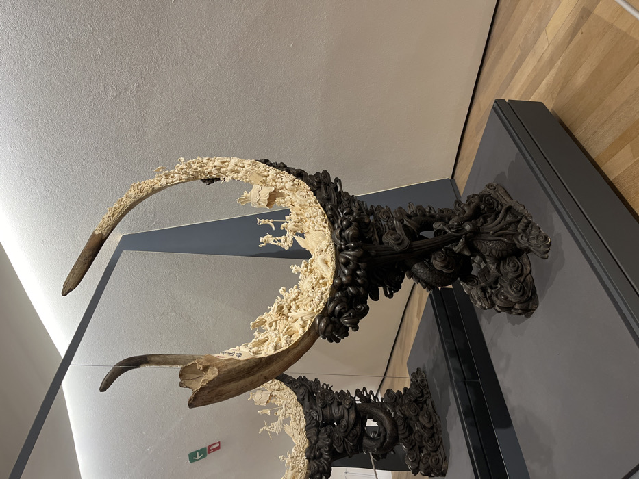 An intricate, crescent-shaped sculpture features a carved tusk-like element, predominantly cream-colored, adorned with detailed figures. Half of the sculpture transitions into a dark, ornate design with dragon motifs. This art piece is displayed in a museum setting, reflected in a glass case. The display includes a modern gray wall and wooden flooring.