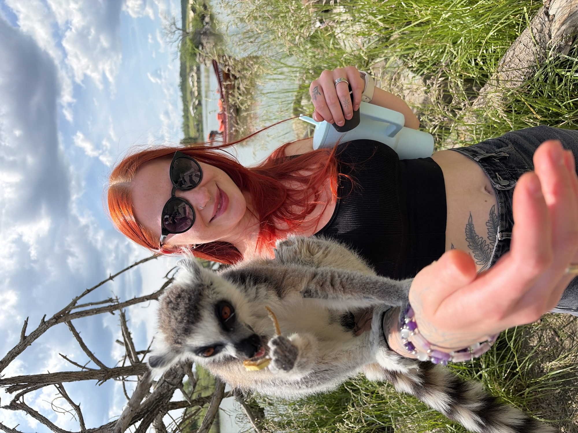 An outdoor photograph, rotated 90 degrees clockwise, captures a cheerful young woman interacting with a ring-tailed lemur under a partly cloudy sky. The woman, positioned prominently on the left side of the frame (as viewed in the rotated image), smiles broadly at the camera. She has bright reddish-orange hair, wears dark cat-eye sunglasses, a black ribbed crop top, and dark denim jeans. Visible tattoos include a leaf design on her left index finger, a sunburst on her left middle finger, and a large fern-like pattern on her left forearm. A silver ring adorns her right ring finger, and a purple beaded bracelet is on her left wrist. In her right hand, she holds a light blue water bottle or container.
Cradled in the crook of her left arm is a grey and white ring-tailed lemur, which is actively eating a piece of food, possibly a fruit slice, held delicately in its paws. The lemur's distinctive long, black and white striped tail extends towards the bottom right of the frame.
The background shows an expansive bright blue sky with scattered white clouds on the left. To the right, green grass and scattered dry branches or sparse trees are visible, extending towards a body of water in the mid-distance. The bright sunlight suggests a daytime scene. The woman's joyful expression indicates a pleasant animal encounter, likely at a sanctuary or wildlife park. The setting is outdoors in what appears to be a natural or semi-natural environment, consistent with locations in Shakhty, Russia. No visible text is present in the image.