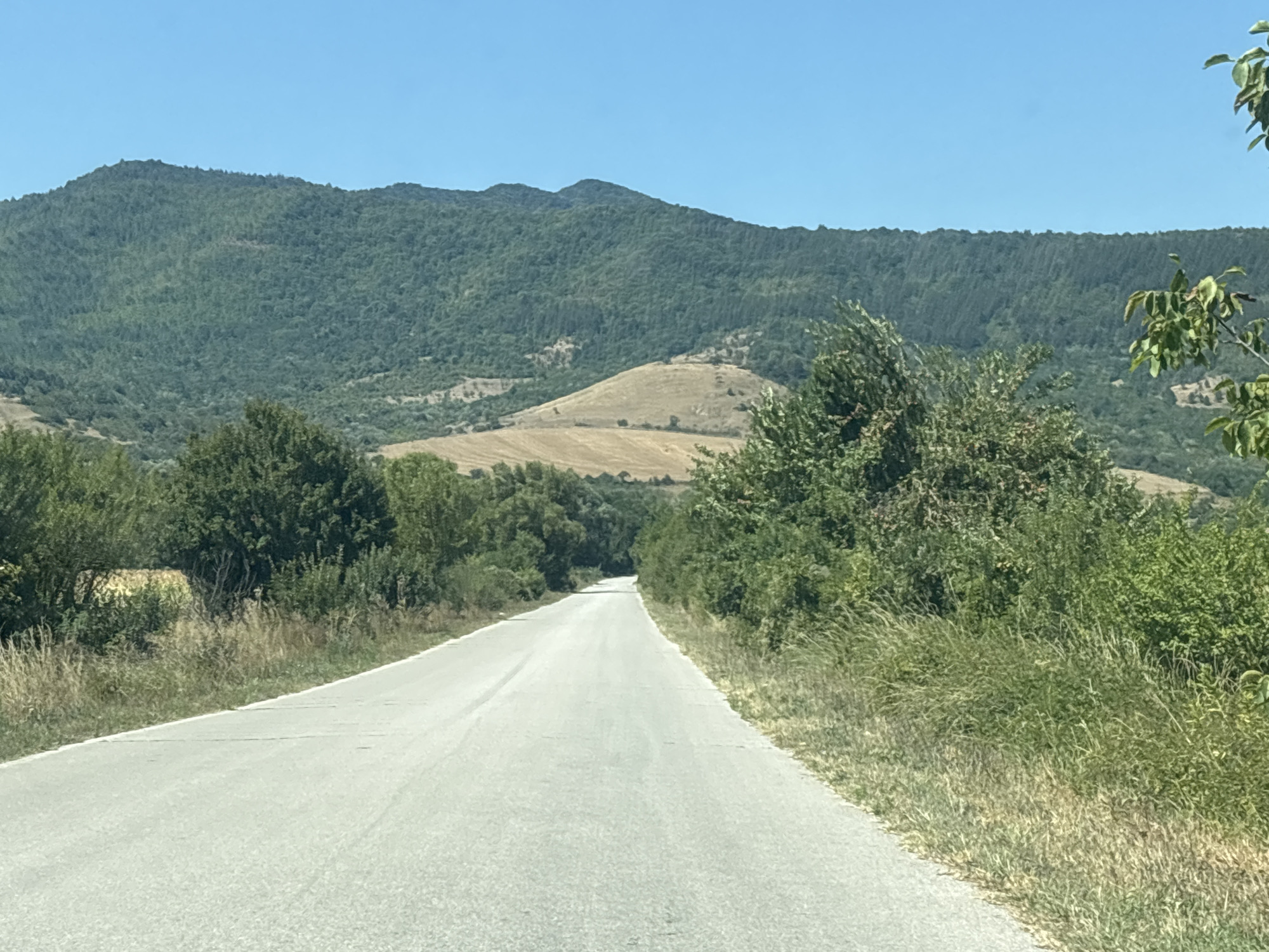 The image depicts a rural road winding through a landscape of rolling hills and dense green forests under a clear blue sky. The road is paved and appears to be a two-lane road with a white line marking the center, though it is faded in places. The terrain on either side of the road is covered in a mix of tall dry grass, bushes, and trees. In the background, a large, tree-covered mountain range dominates the horizon. The overall scene suggests a summer day in a natural, undeveloped area. The location is identified as the city of Dzhurovo, Bulgaria. There are no people or animals visible in the image.