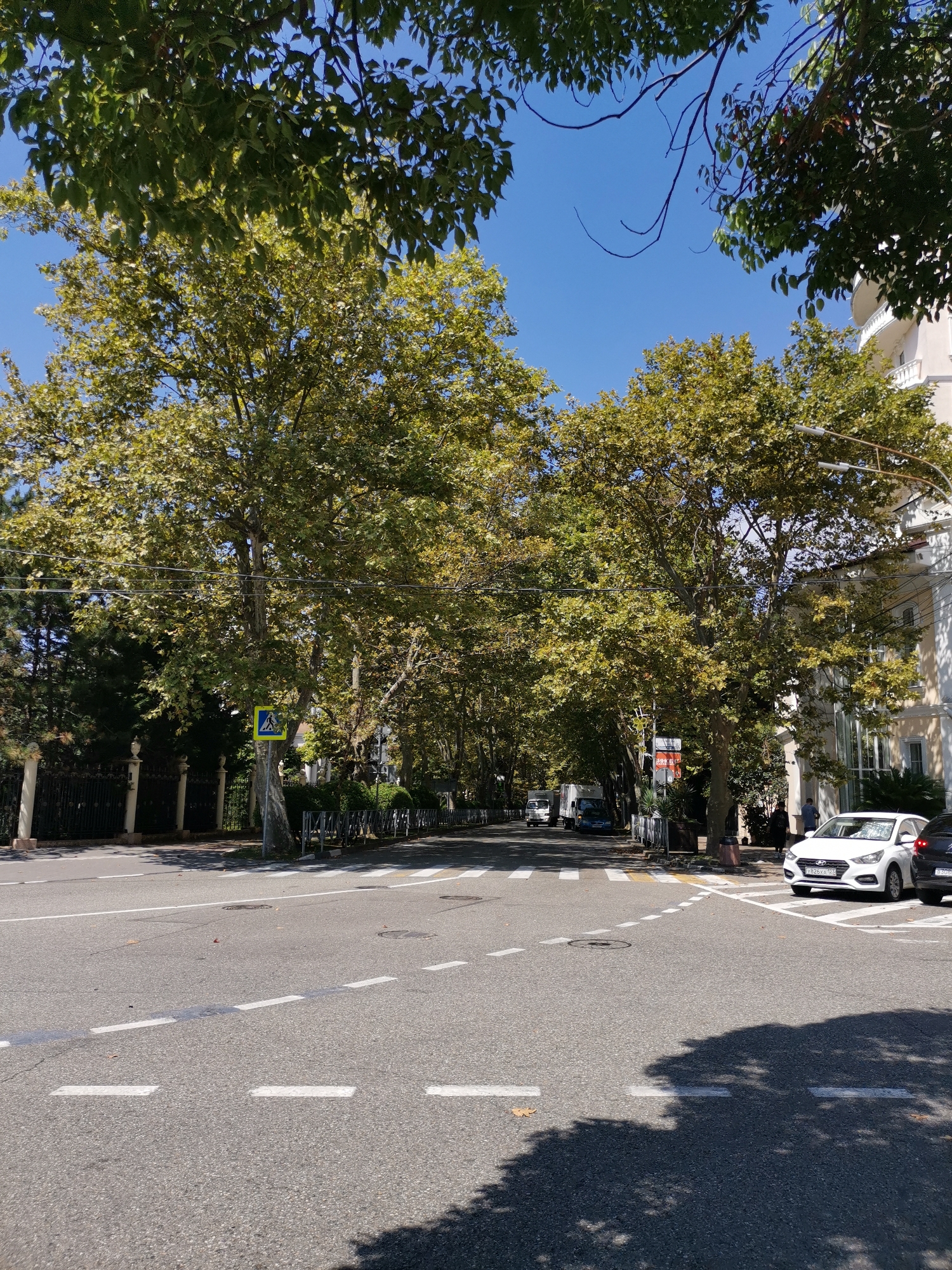 The image depicts a street intersection in Sochi, Russia, under a clear blue sky. Large, leafy trees line the road, providing shade. A white Hyundai Accent is parked on the right side of the road, and a black car is partially visible behind it. Traffic is light, with a few trucks visible in the distance. A pedestrian crossing is marked on the asphalt, and a street sign indicating a pedestrian crossing is visible on the left. The architecture of the buildings lining the street suggests a blend of older and newer construction. The overall impression is one of a sunny day in an urban environment with abundant greenery.
