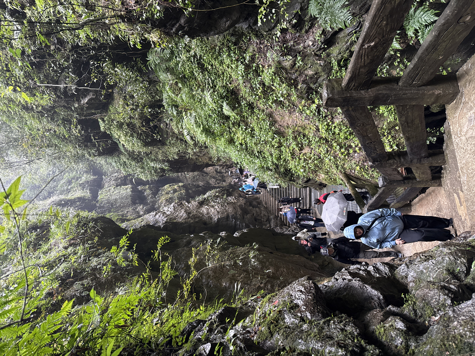 A downward-angled shot of a crowded stone path through a wooded area with a wooden handrail. The path is cut into the side of a steep, rocky terrain covered in green vegetation. Multiple people are walking down the steps, some carrying umbrellas. The image captures the natural landscape and man-made path within the location of Wulong District, China.