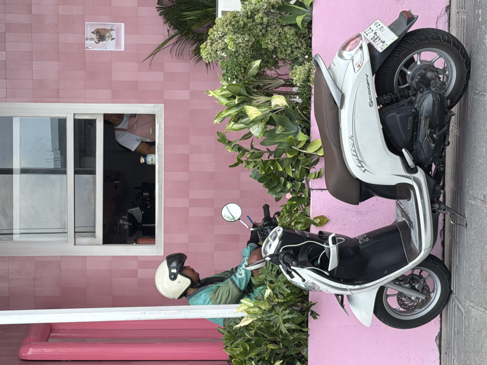 The image depicts a white Honda Scoopy scooter parked on a sidewalk in front of a pink building. A person wearing a white helmet and a green and teal jacket is seated on the scooter, facing to the right. The building has a window through which another person wearing an apron is visible. A poster of a dog is affixed to the pink wall. Lush green plants are arranged in front of the building, bordering the sidewalk. The scooter has a brown seat and features the "Stylish" and "SCOOPY" branding. A license plate with the registration number "DL 4489 ZZ" and a date of "10.29" is attached to the rear of the scooter. The scene appears to be in North Kuta, Indonesia, given the style of the building, vegetation, and license plate format.