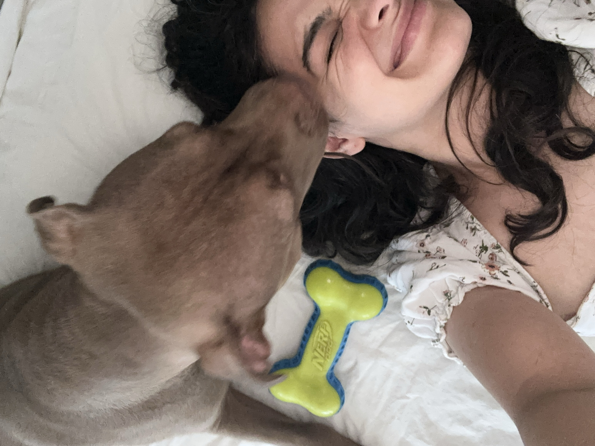 A dog is licking a person's face in a bedroom. The person is lying on their back with their eyes closed and a smile on their face. The dog is a large, brown dog with short fur. There is a yellow and blue dog toy in the shape of a bone on the bed next to the person. The room is lit by natural light. The image appears to be taken from a high angle, looking down at the person and the dog.