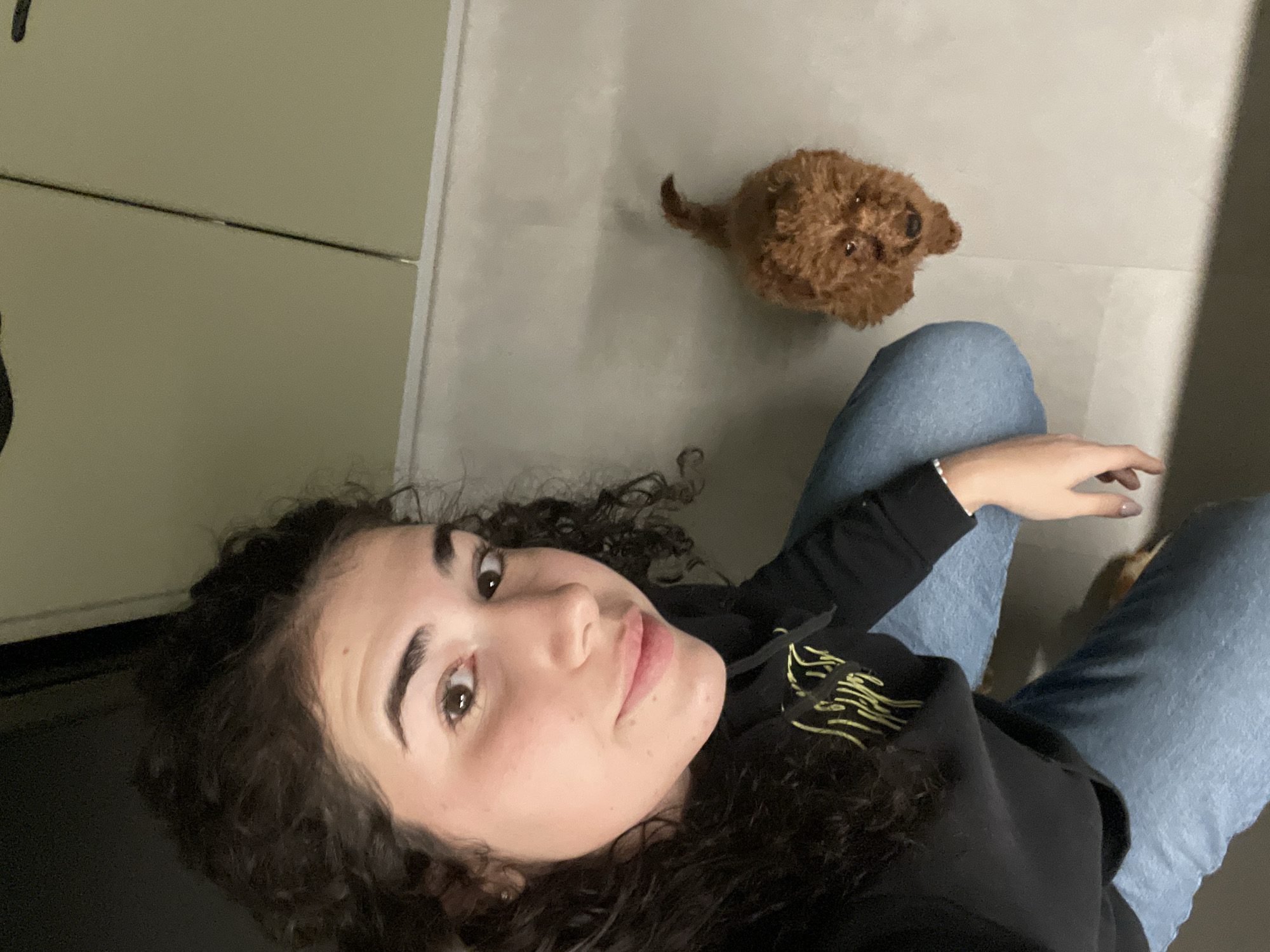 A casual, high-angle portrait captures a young woman and a small, fluffy brown dog in an indoor setting. The woman, with dark, curly hair and brown eyes, is positioned in the foreground, looking directly at the camera with a neutral to slightly smiling expression. She is wearing a dark (likely black) hoodie with a distinct, stylized light-colored (possibly yellow or lime green) text or graphic design on the front, and light blue jeans. Her left hand is visible, resting near her leg.
Further back and to the right, a small, brown dog, resembling a poodle or doodle mix, sits or stands attentively on a light-colored floor, also looking upwards. The background consists of plain, light-colored walls and flooring, suggesting a clean, simple indoor space. The lighting appears even, possibly from an indoor light source or soft ambient light. The overall mood is relaxed and informal, capturing a moment between a pet and its owner. There are no specific location cues visible within the image that point to Sofia, Bulgaria. The stylized text on the hoodie is not legible.
