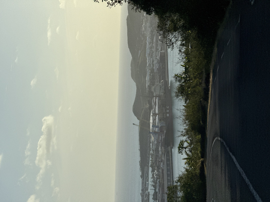 The image presents an elevated view overlooking the Port of Nouméa, France. In the immediate foreground, a dark asphalt road curves to the left, marked by a solid white line along its left edge. Dense, dark green foliage flanks the road on both sides. The midground features a calm body of water, likely a bay or harbor, where a large container ship is docked. The vessel displays "MSC" on its hull and is laden with numerous shipping containers, with visible cranes on its deck. Behind the ship, an expansive port infrastructure is evident, comprising industrial buildings, additional cranes, and other docked vessels. The background consists of gently rolling, vegetated hills, beyond which the hazy expanse of the open ocean meets a pale, partly cloudy sky. The scene is illuminated by bright, diffused sunlight, indicating either late morning or afternoon conditions. No individuals are visible.