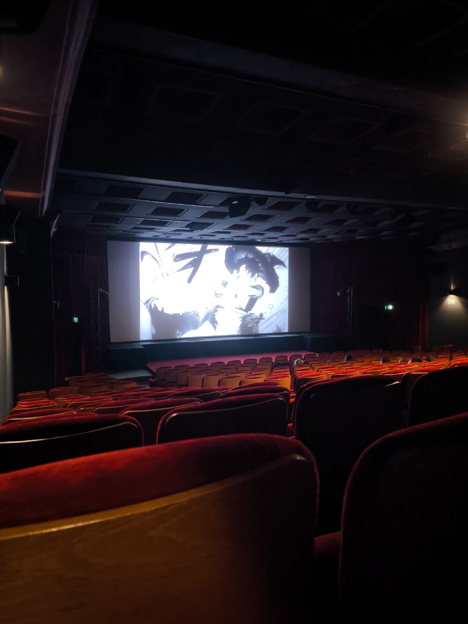 The image shows an empty cinema hall in Strasbourg, France. Rows of red velvet seats fill the space, facing a large screen displaying a black and white animated image. The room is dimly lit, with the screen serving as the main source of light. The ceiling has a patterned, textured surface. The overall impression is one of stillness and anticipation before a movie showing.