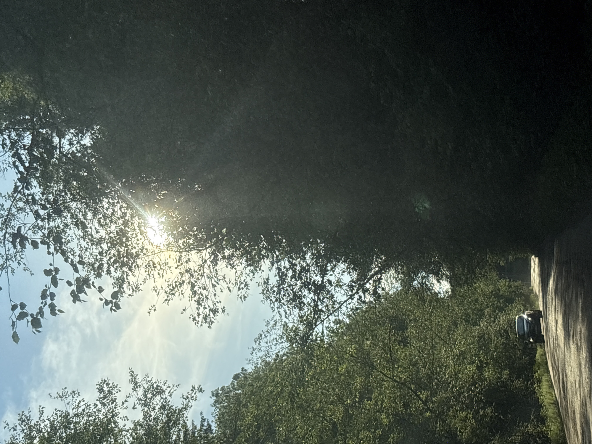 This vertical-format daytime photograph depicts an unpaved road flanked by dense green foliage, creating a natural canopy. The scene is located in the city of Rezvykh, Russia. Strong sunlight emanates from the upper right quadrant, creating distinct sun rays and a prominent lens flare, illuminating parts of the tree canopy and the road surface with dappled light. The sky, visible between the branches, is light blue with scattered, thin white clouds. A dark-colored sedan or hatchback is visible on the road in the lower left, oriented away from the viewer. The right side of the image is significantly darker due to the heavy shadowing from the trees.