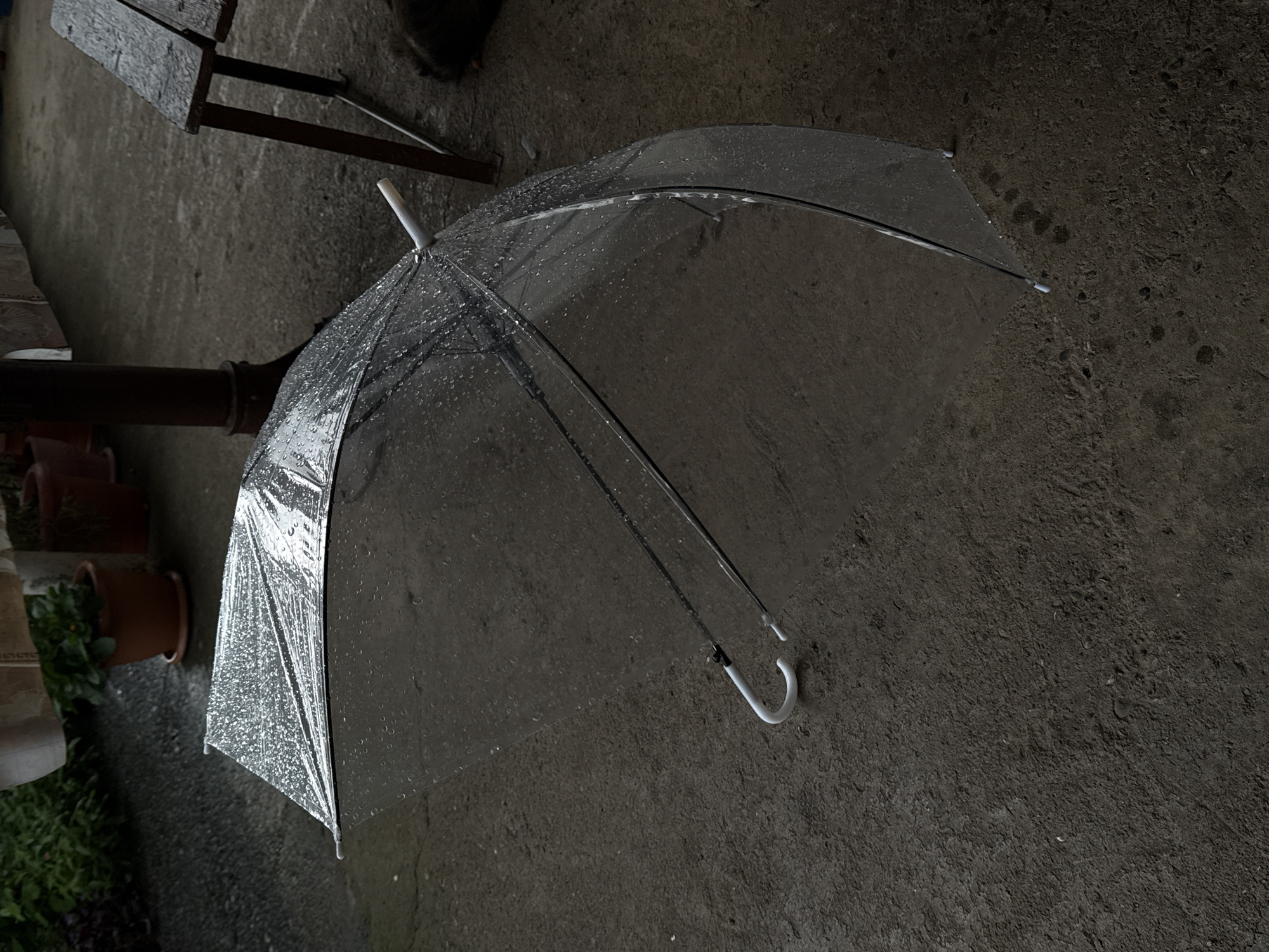 A clear, slightly tinted umbrella is lying open on a wet, concrete surface. The umbrella is partially illuminated and has many water droplets scattered across its canopy and handle. The handle is white and curved like a hook. In the background, there are potted plants, a wooden bench, and a dark, indistinct object, possibly an animal, resting on the ground to the right of the bench. The scene appears to be outdoors, suggesting a rainy day. The location is identified as Jgali, Georgia.