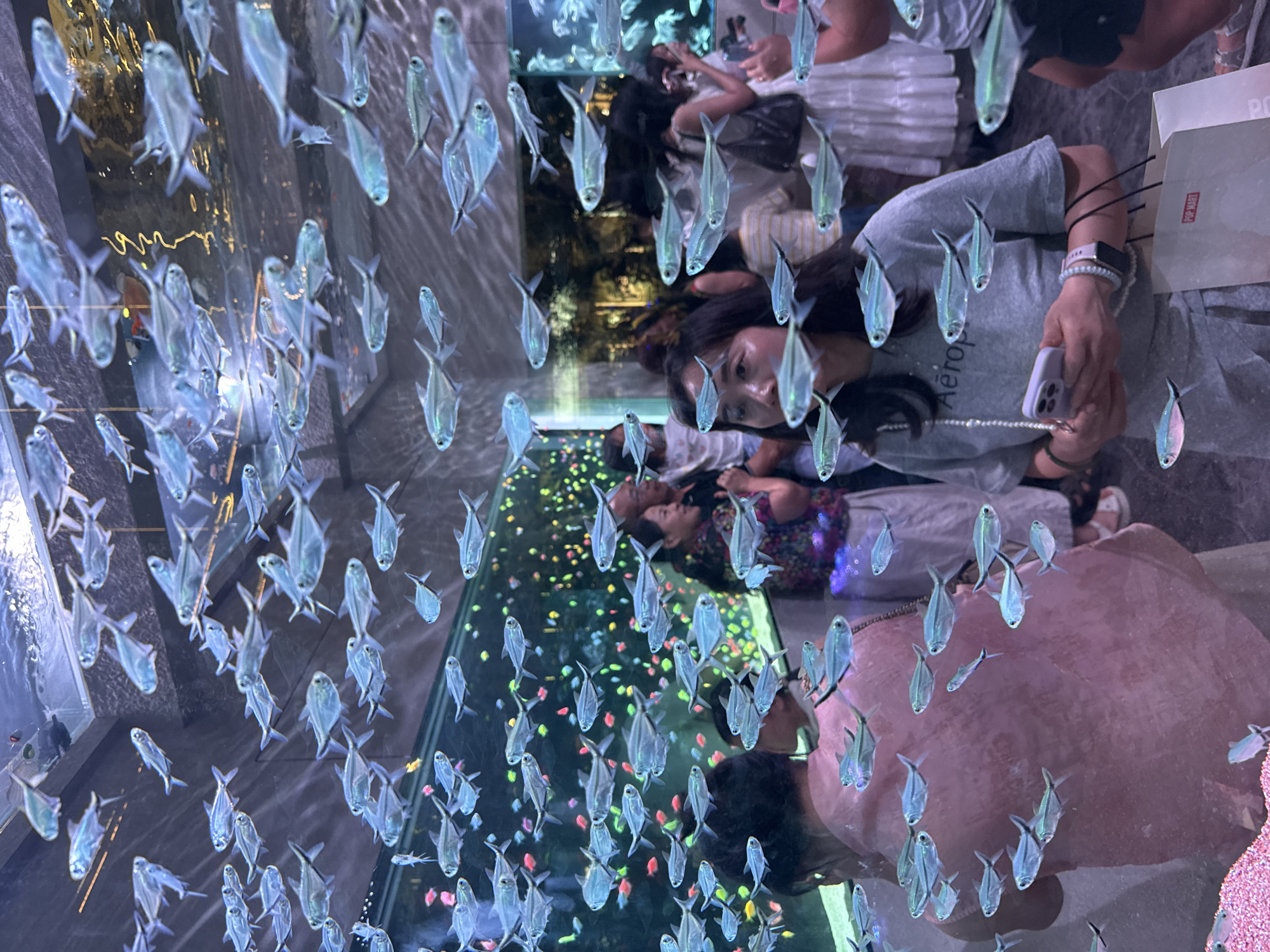 The image captures a vibrant scene at an aquarium, likely within the city of Liangjiang, China. The focus is on a large school of shimmering, translucent fish swimming in a seemingly suspended tank or display. The fish are predominantly silver with hints of blue and green, creating a mesmerizing visual effect.
In the foreground, several individuals are observing the aquatic display. One woman, wearing a gray t-shirt with "Aero" printed on it, is holding a smartphone and a shopping bag. Her gaze is directed towards the fish, suggesting engagement with the exhibit. Behind her, another person in a pink garment is also looking towards the fish. Other individuals can be seen in the background, some blurred, indicating a public space.
The environment appears to be well-lit, with reflections on the glass surfaces suggesting an indoor setting. The background hints at an urban environment with hints of artificial lighting and possibly decorative elements, consistent with a shopping mall or entertainment complex in Liangjiang. The overall impression is one of wonder and observation, with the school of fish serving as the central attraction.