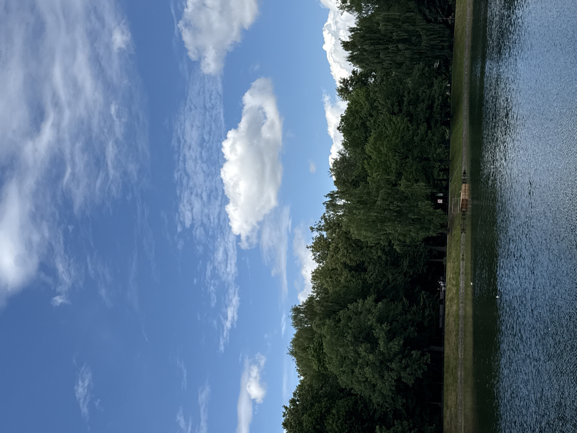 The image captures a tranquil scene at a park in Moscow, Russia, likely on a clear, sunny day. A serene body of water dominates the foreground, with gentle ripples disturbing its dark blue surface. On the far bank of the water, a lush green forest provides a dense backdrop, its varied shades of green suggesting a mix of deciduous and coniferous trees. The trees are tall and reach towards a vibrant blue sky dotted with fluffy white clouds. A grassy embankment separates the water from the forest, and on this embankment, a few people are visible, appearing to be seated on benches or walking, suggesting a leisurely atmosphere. There are also structures that might be a small pier or boardwalk along the water's edge. The overall impression is one of natural beauty and calm within an urban setting.